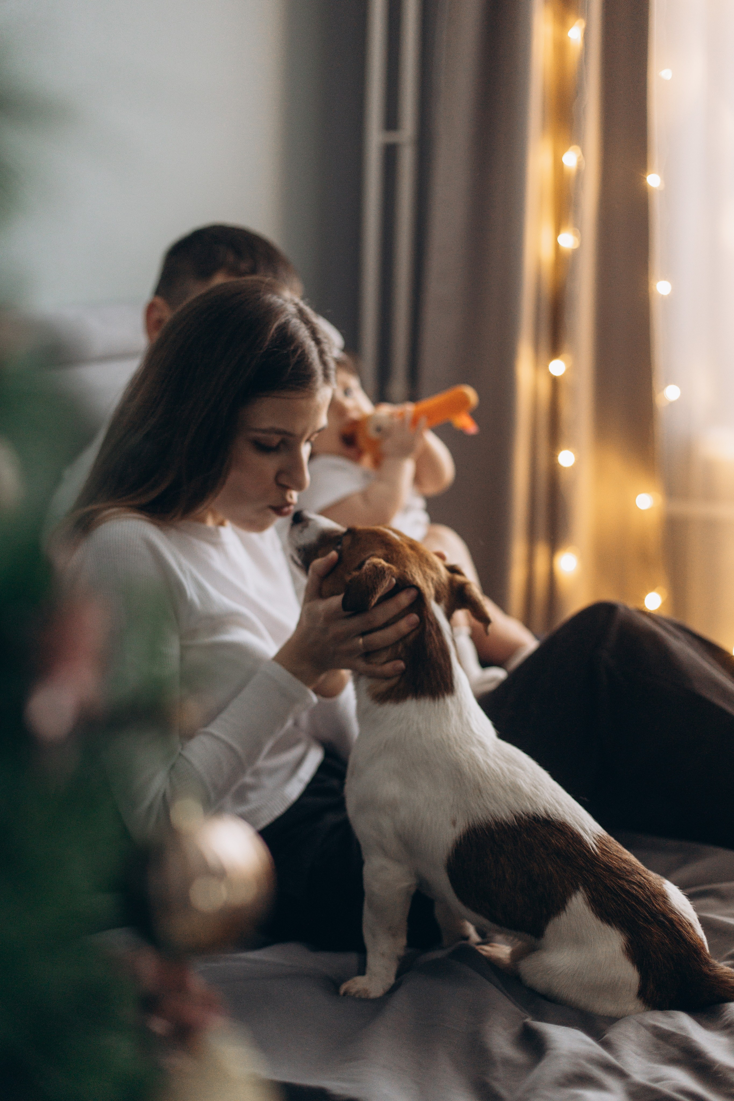 Джой и его семья. Фотограф — Анималист | Санкт-Петербург