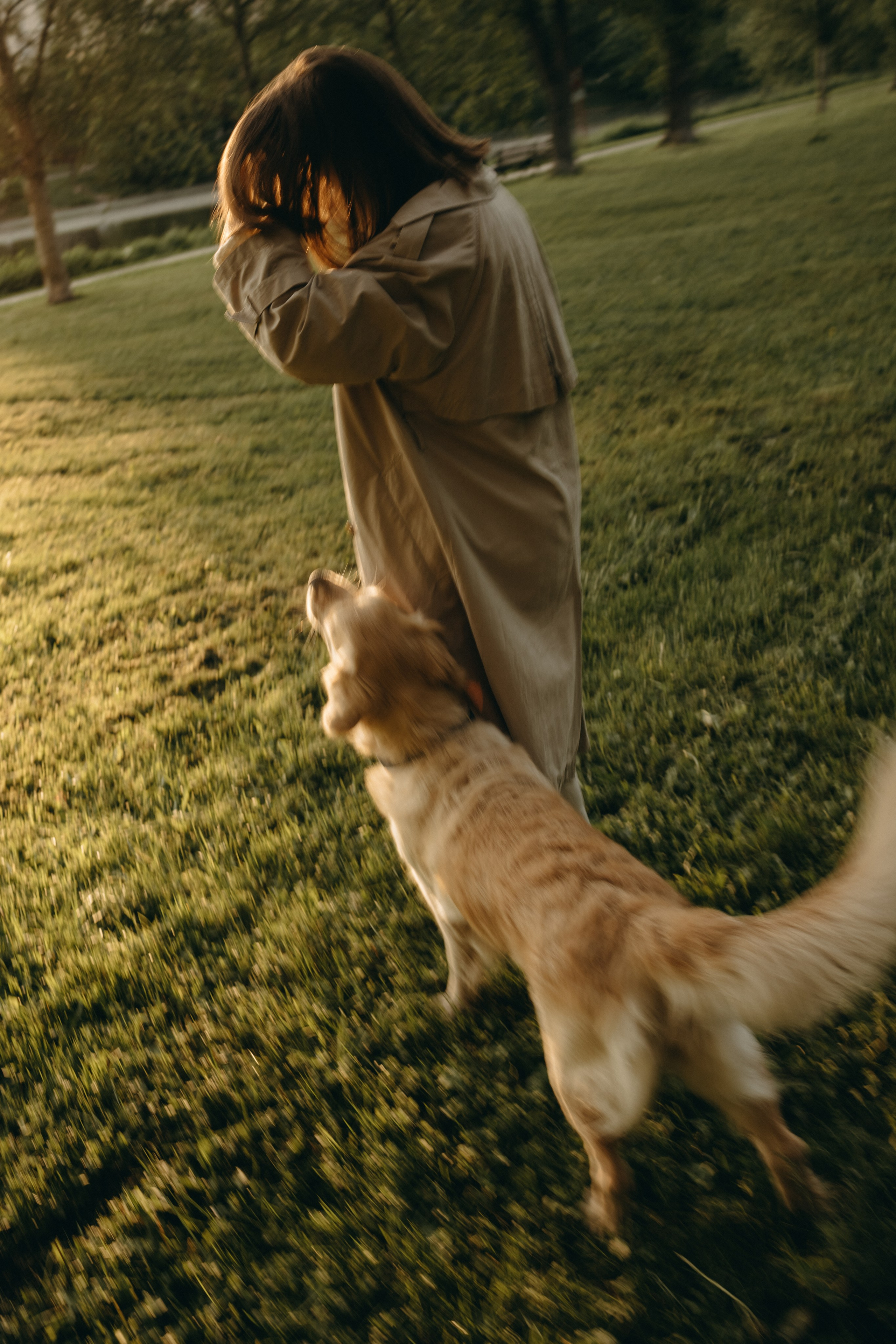 Пенни и ребята. Фотограф — Анималист | Санкт-Петербург