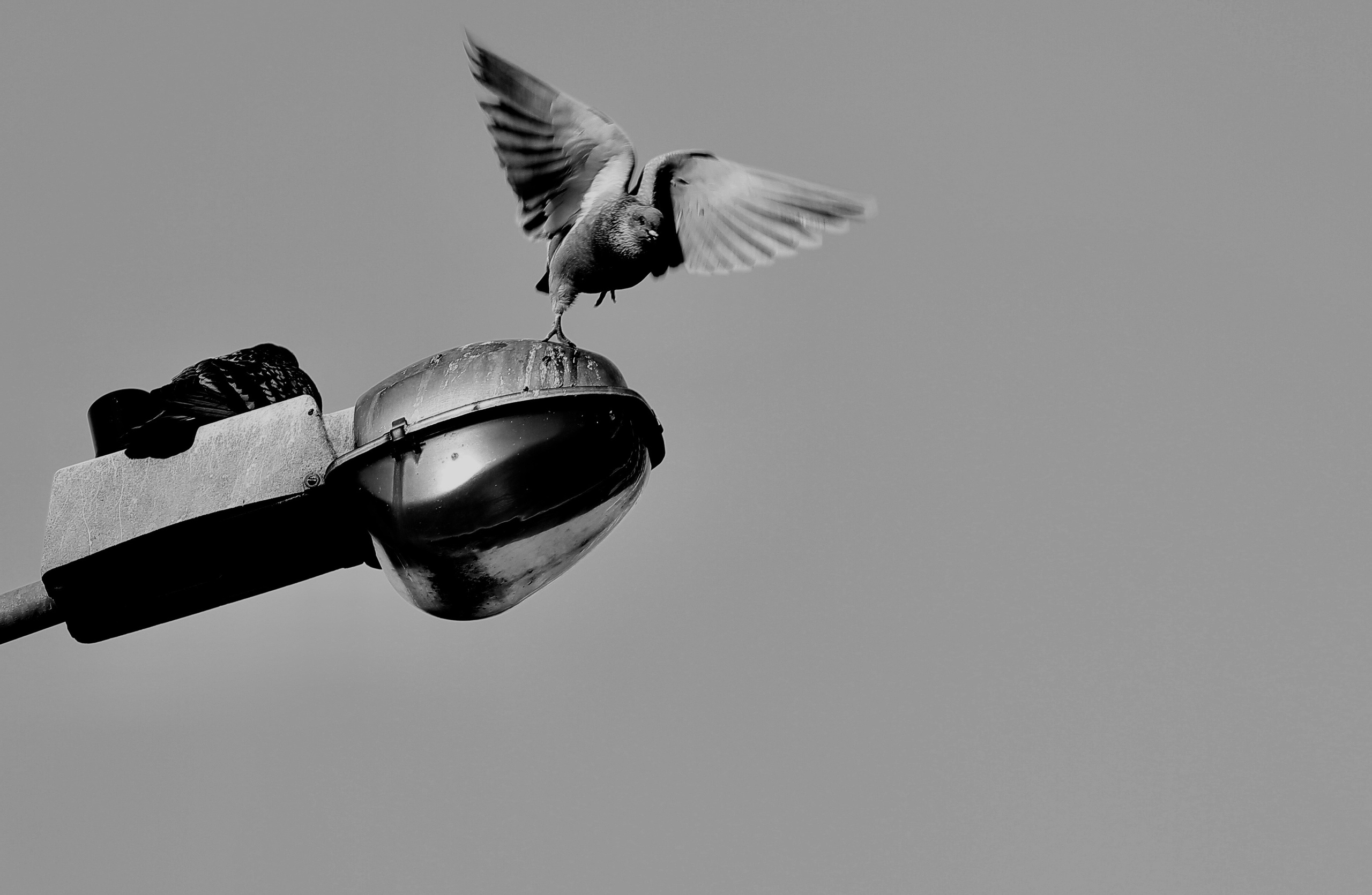 ЖАНР. Фотограф Николай Костюк