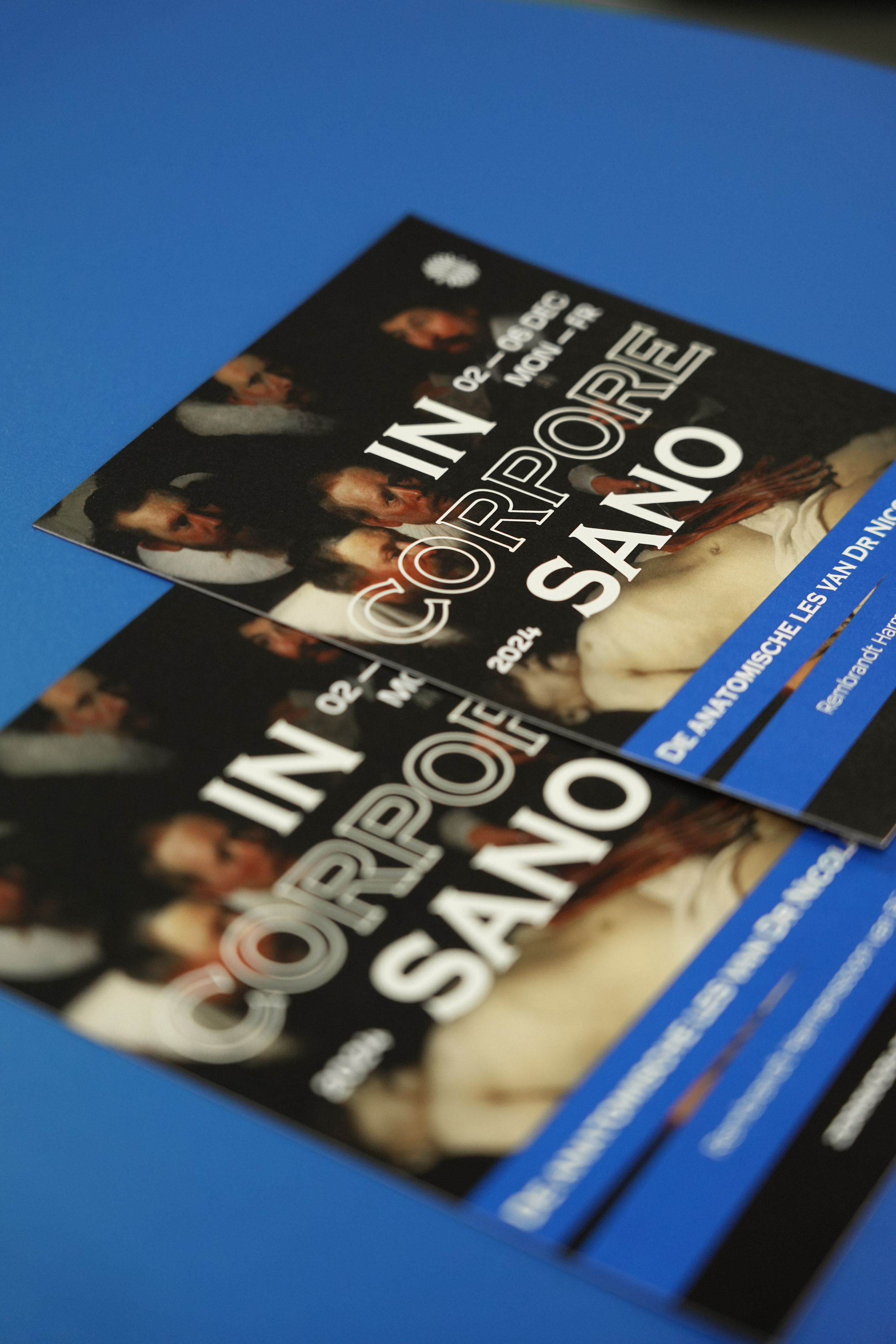 О дизайнере