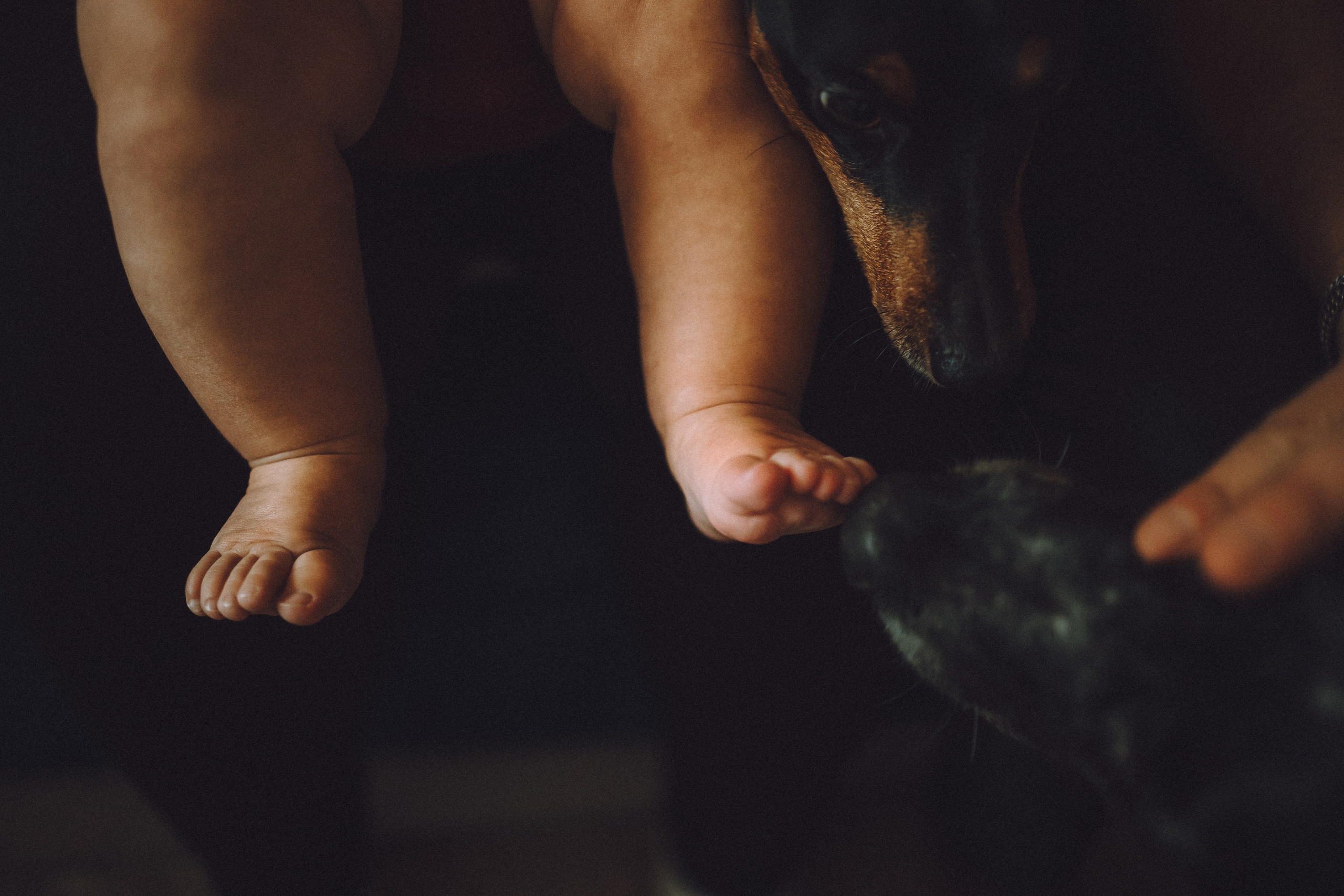 Топик и его семья