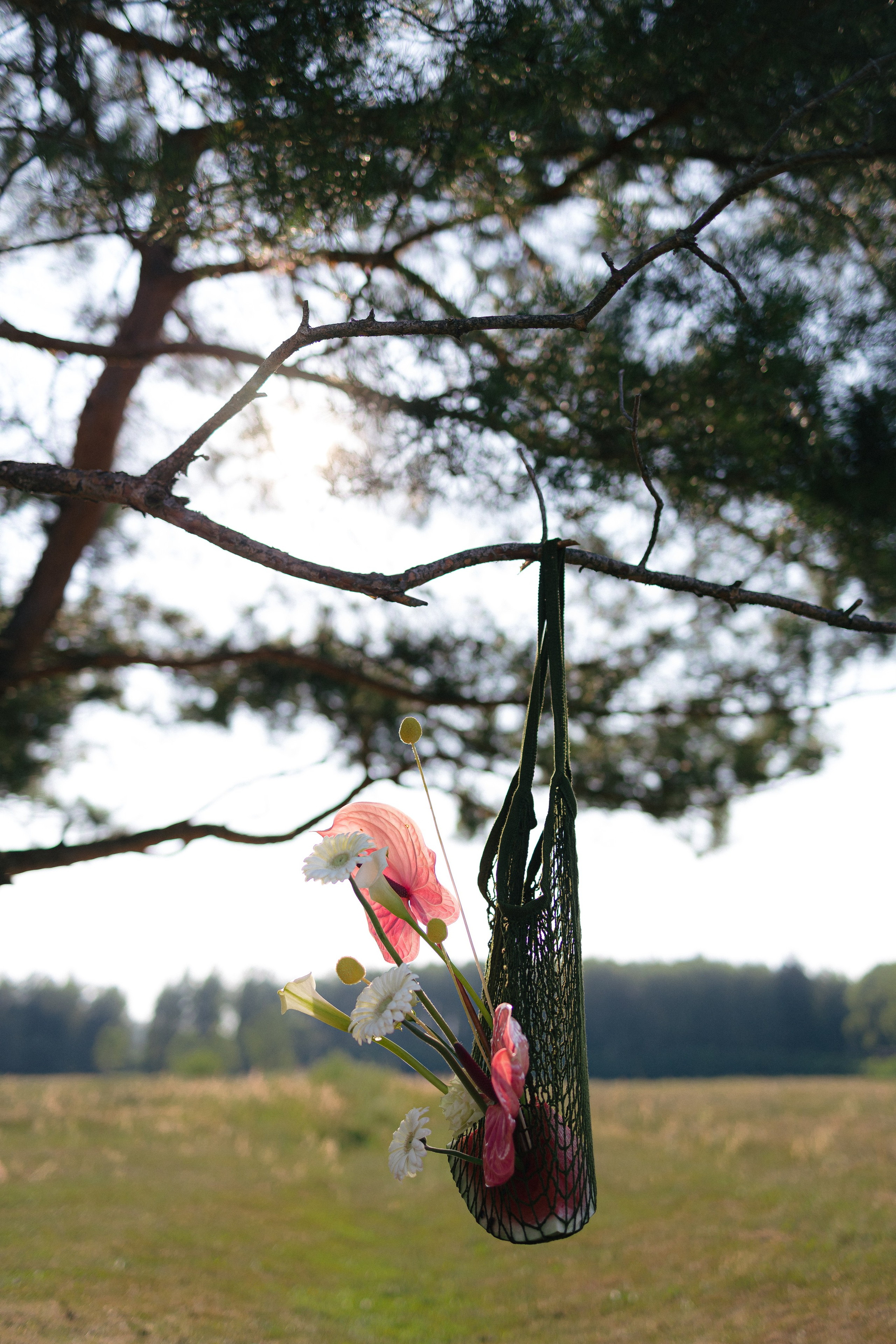 Vlada & Gregory. Фотограф Москва и МО