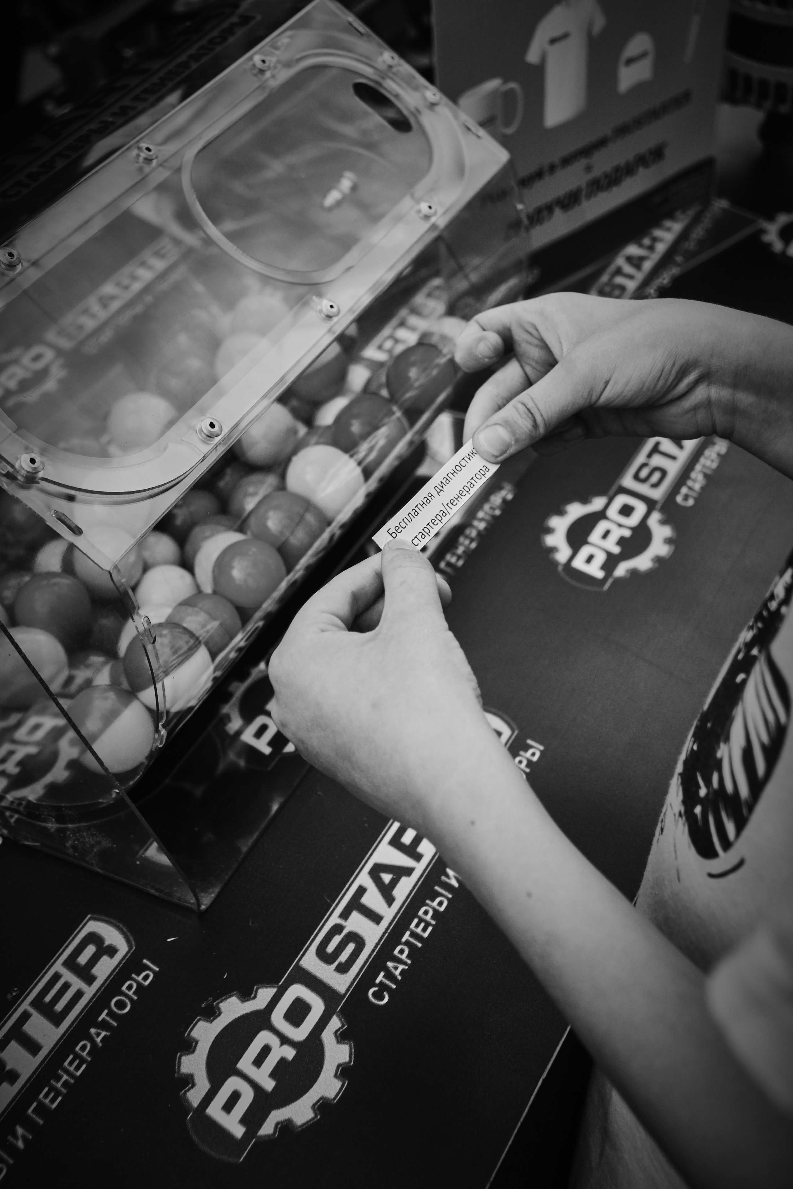 «День Молодежи 2025» (28.06.25 г.). Фотограф: IRINA K