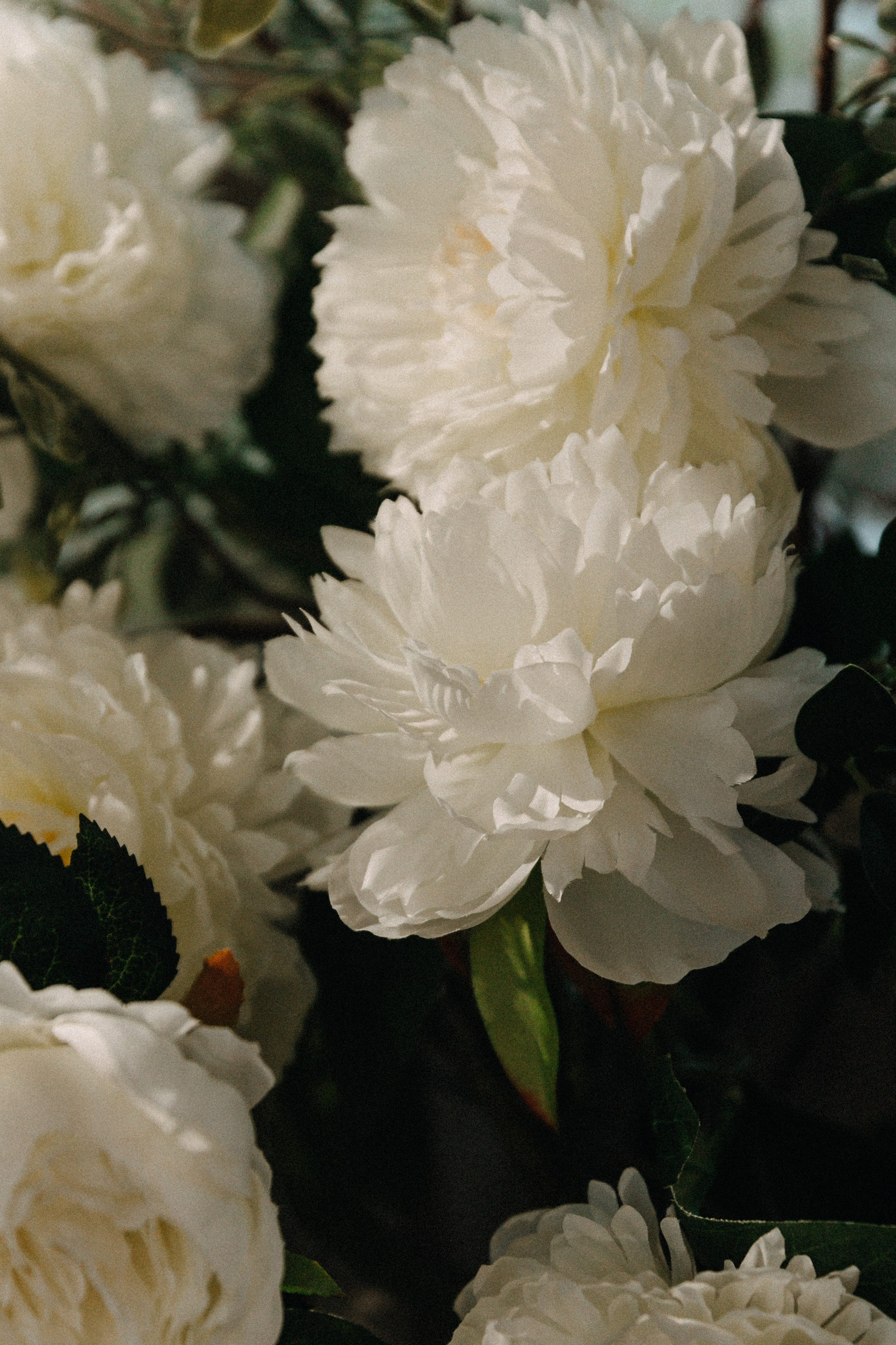 A&V. Свадебный и семейный фотограф в Красноярске Абраменко Настя