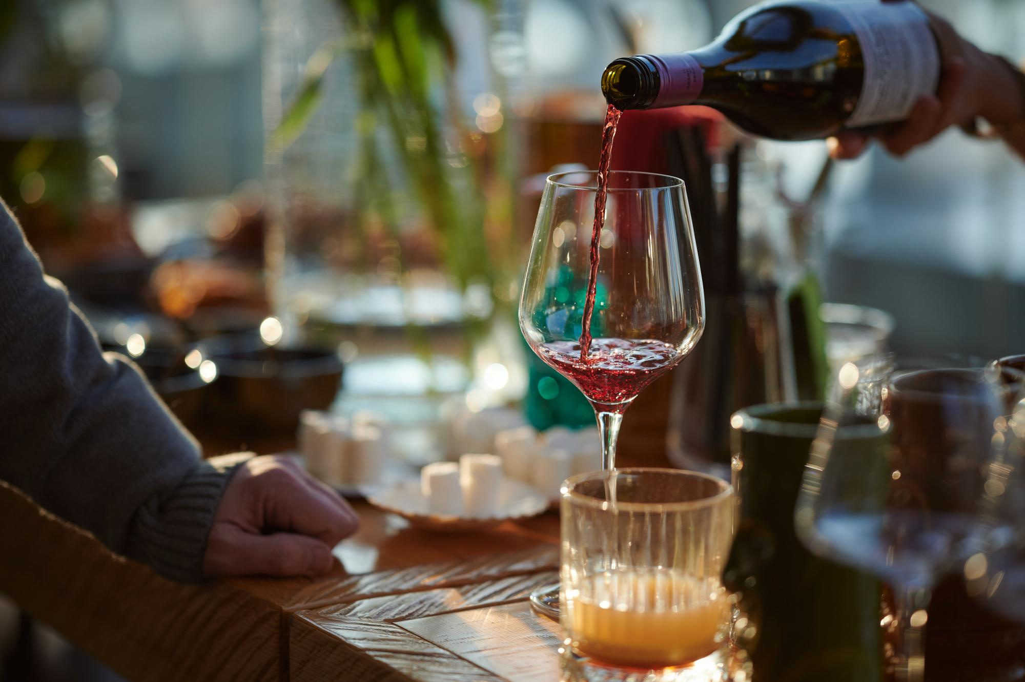 Бизнес ужин Eltex. Мезенцев Евгений фотограф