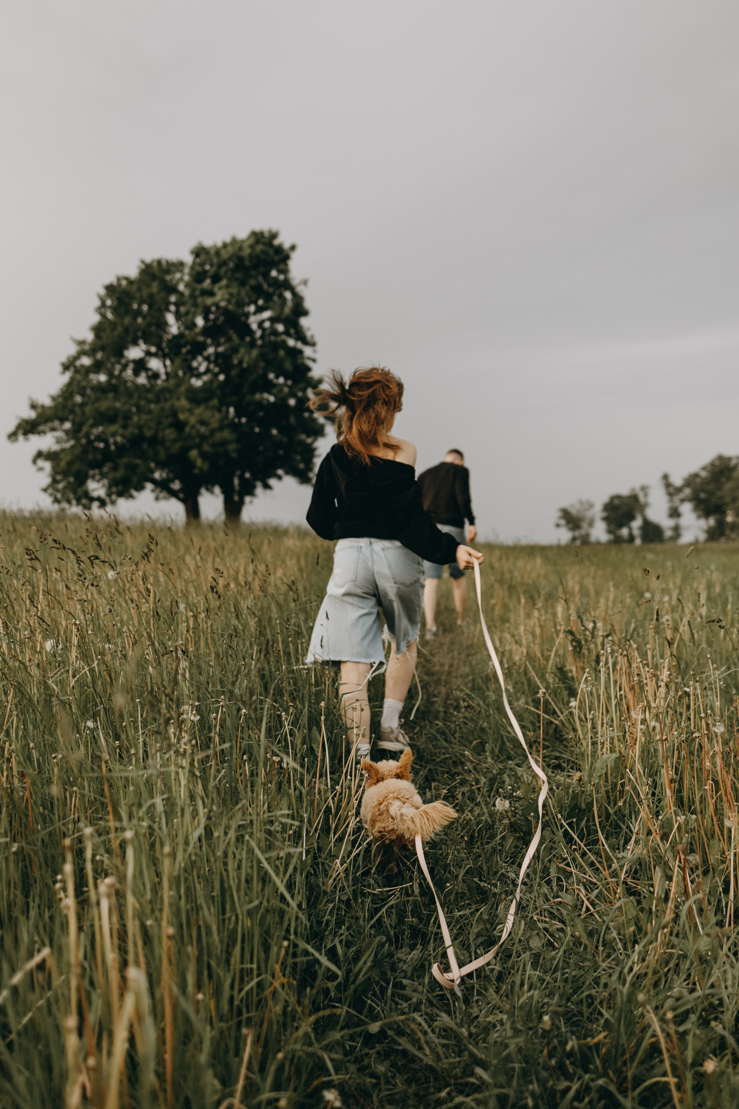 Мия и ее семья. Фотограф — Анималист | Санкт-Петербург