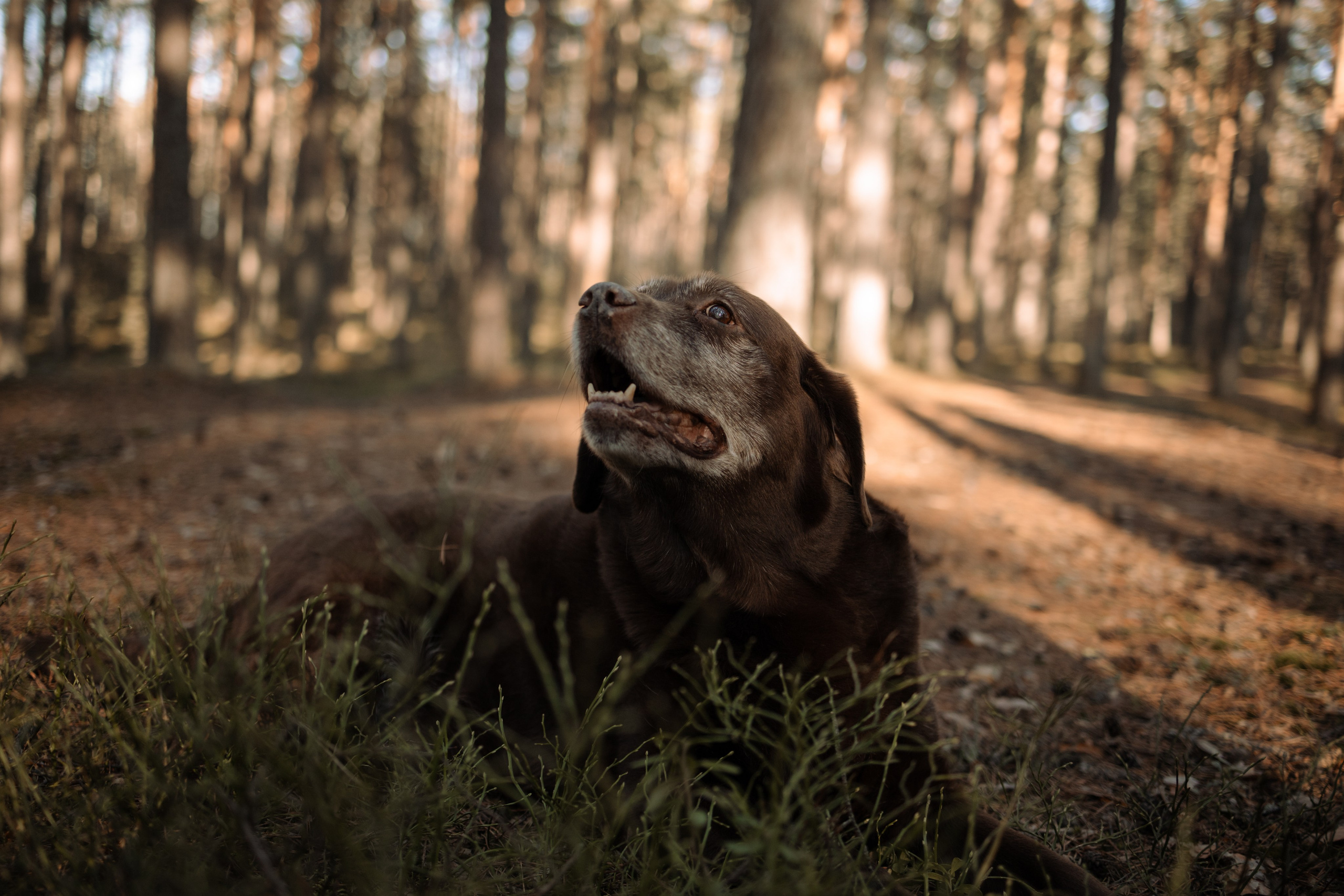 Оля и Питоня. Фотограф — Анималист | Санкт-Петербург