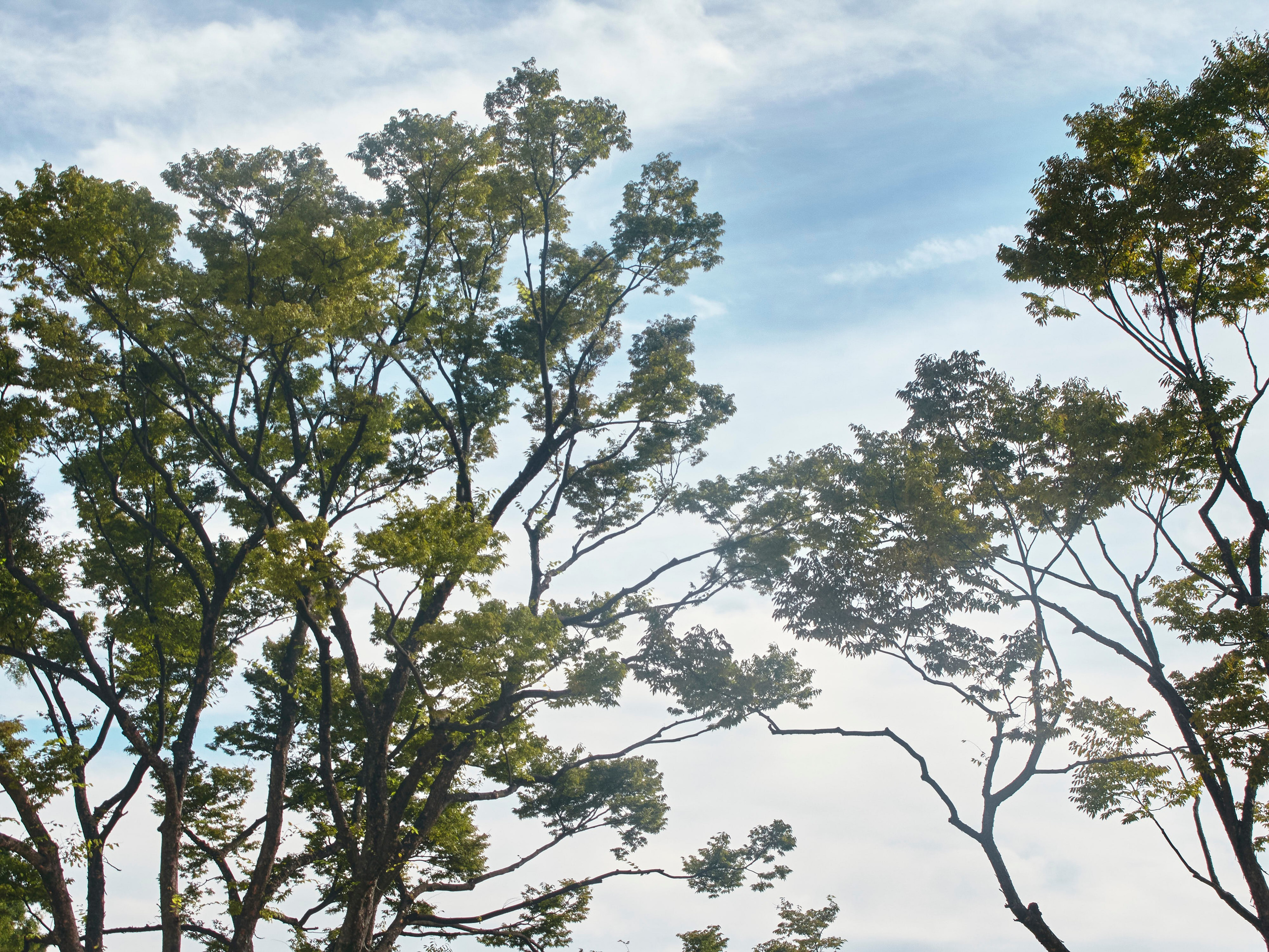 TRAVEL. Фотограф Наталья Леонова