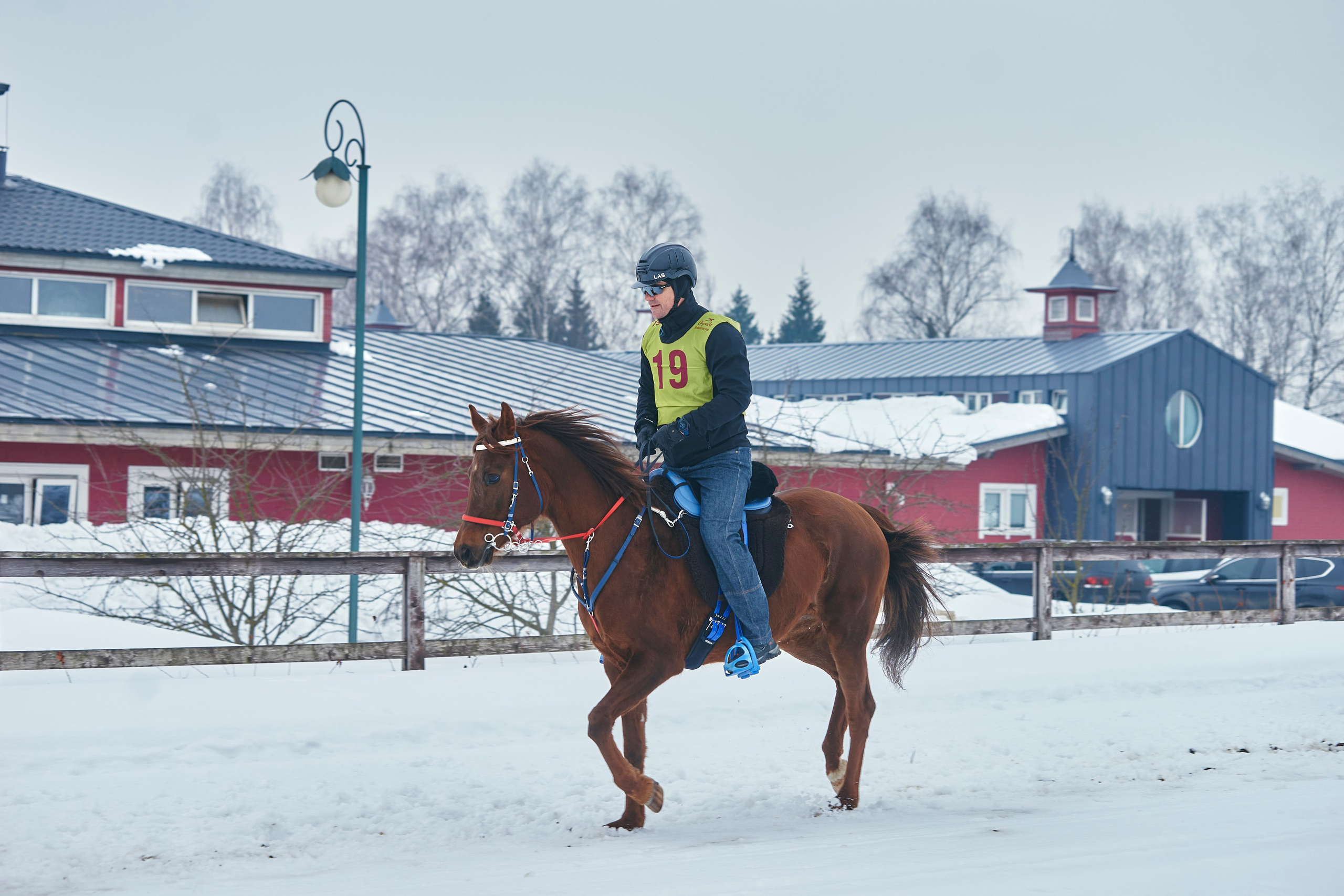 HORSE RACING. Фотограф Наталья Леонова