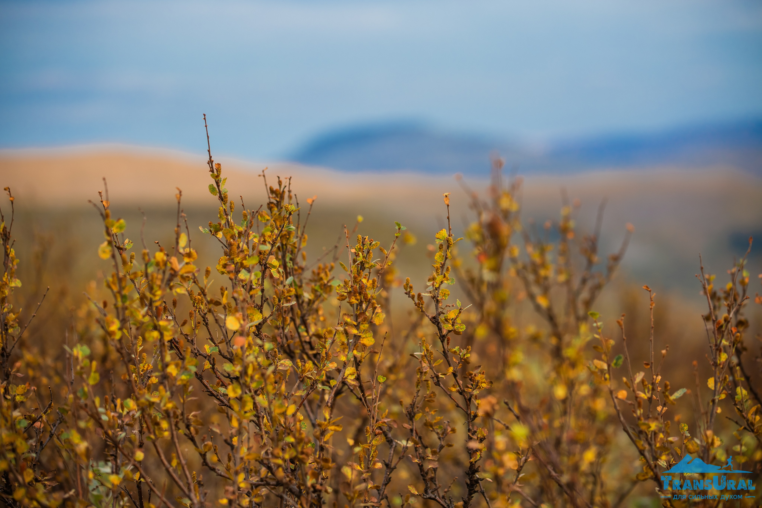 Полярный Урал. Авторские туры с профессиональным фотографом