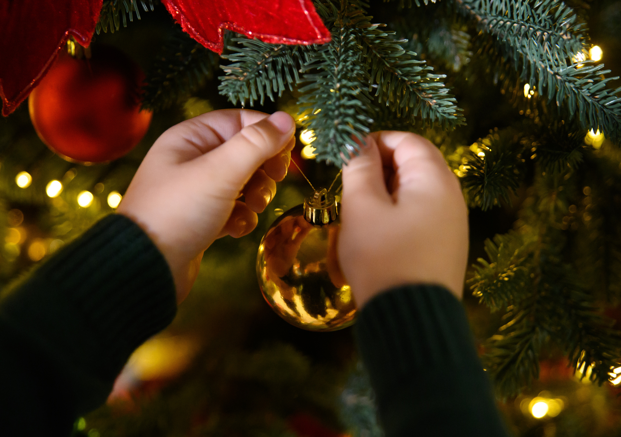 Новогодние фотосессии. Свадебный и семейный фотограф в Москве и Подмосковье Татьяна Емцова