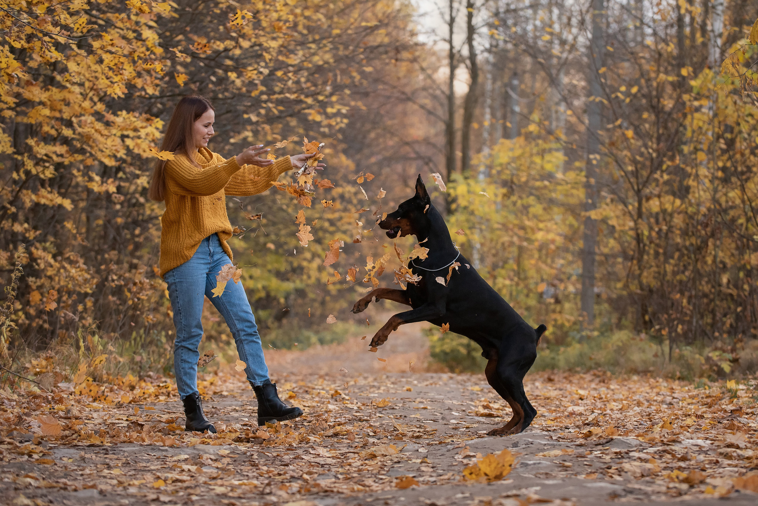 Ева и Тео. Фотограф анималист в Казани Алина Сулейманова. Фотограф животных