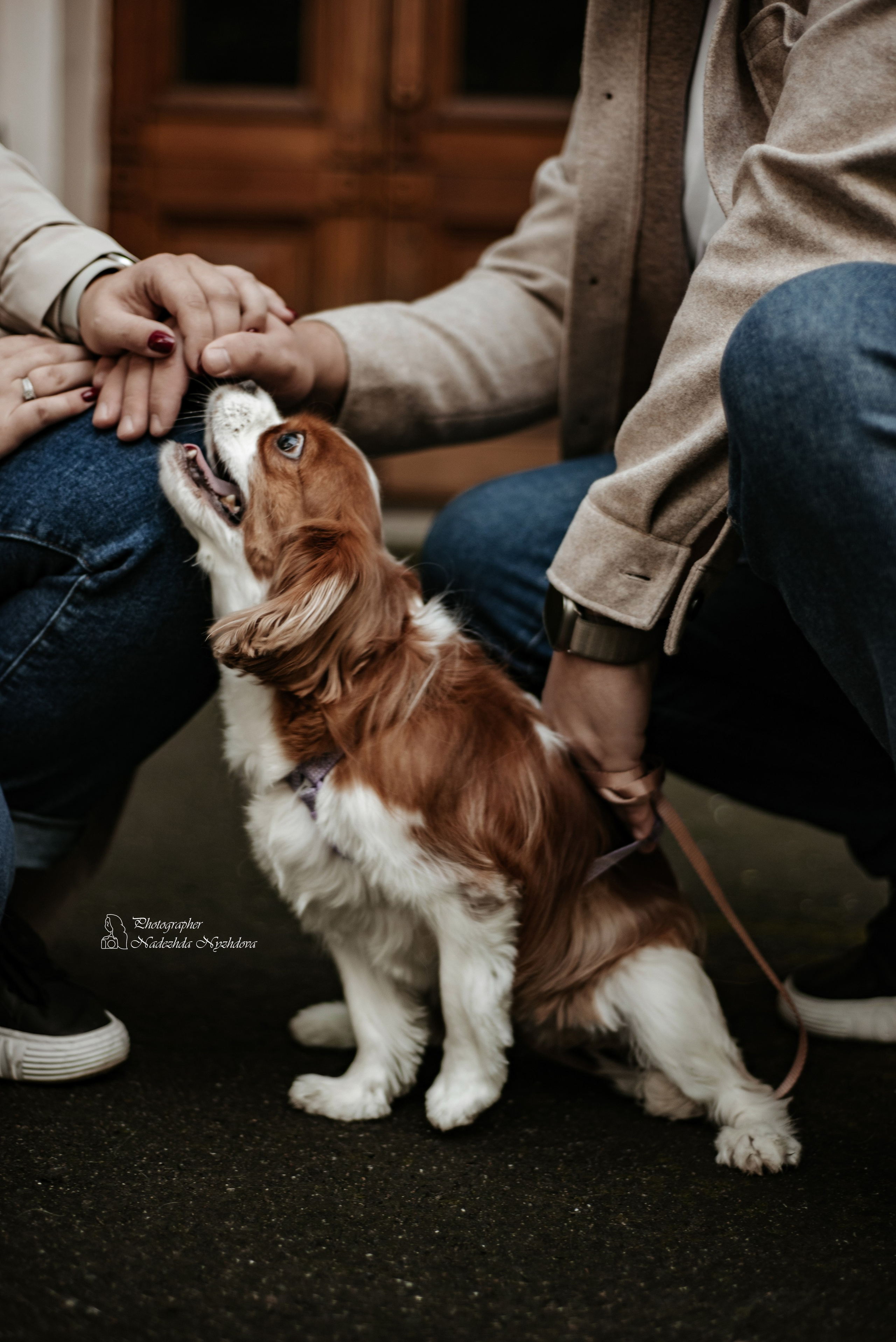 Осенняя прогулка с Каролиной, Владиславом и Асти ♡. Свадебный фотограф в Санкт-Петербурге Надежда Нуждова