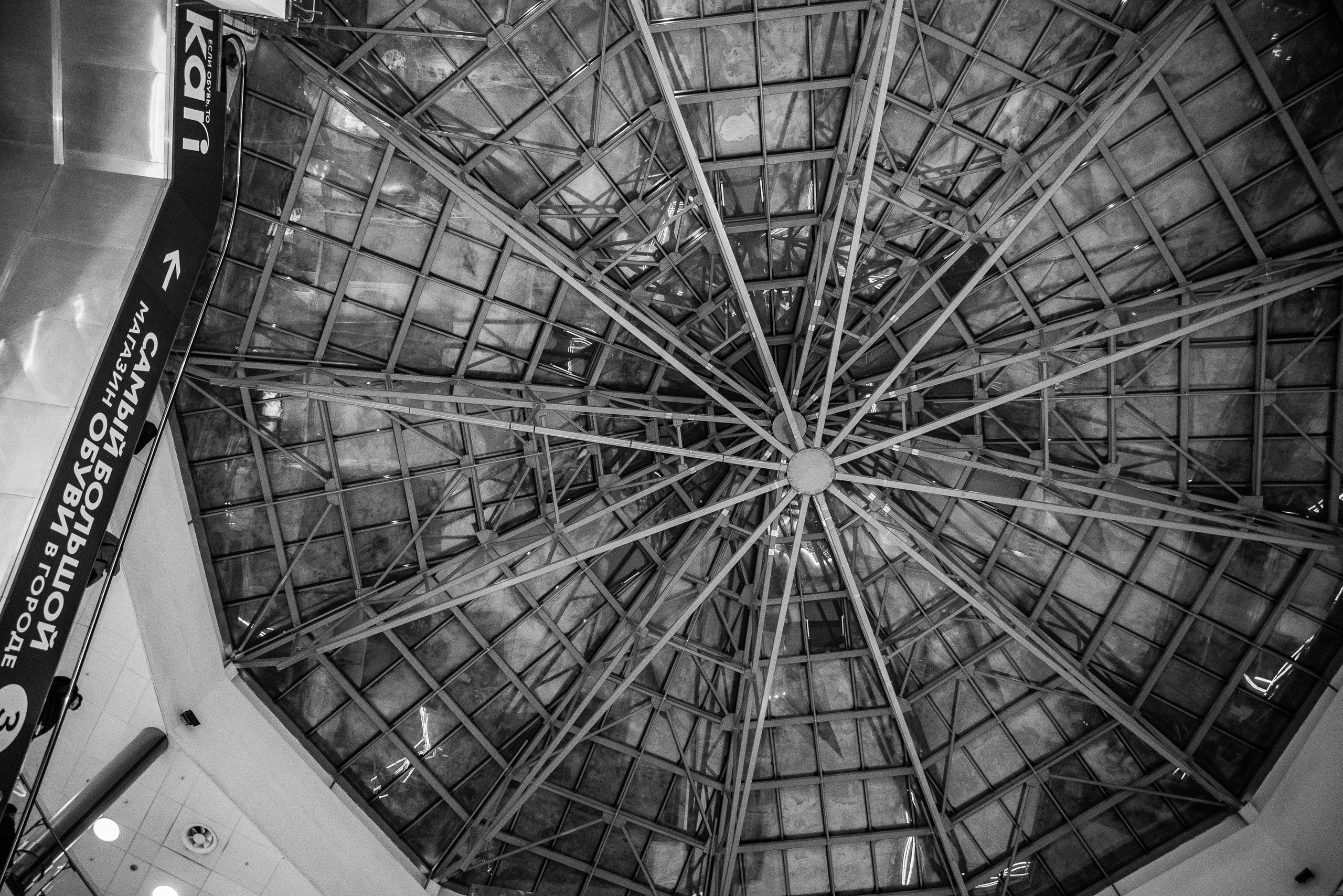 Отчетник «Изумрудный город». Фотограф Юлия Мальцева