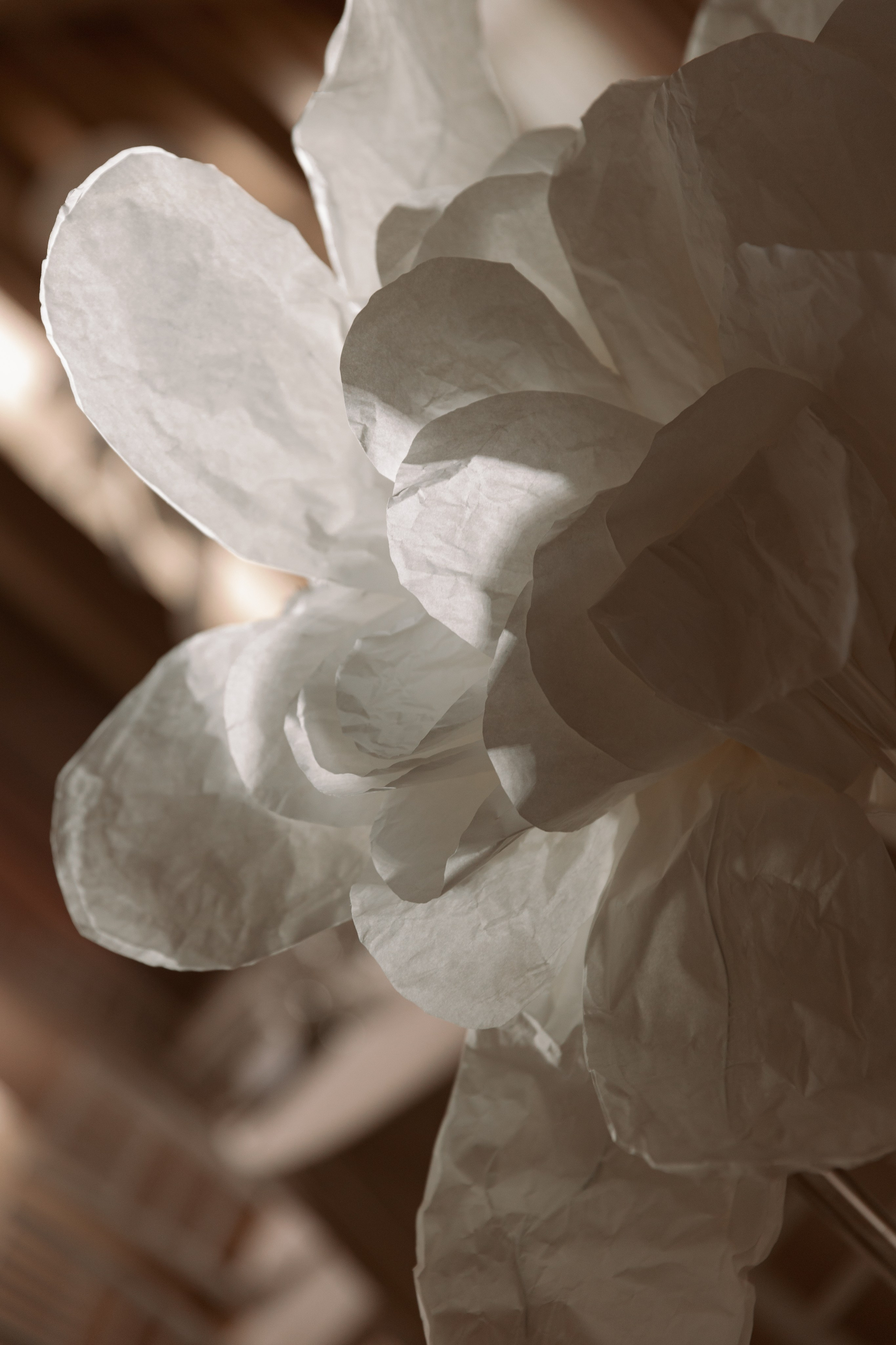 Андрей и Ульяна