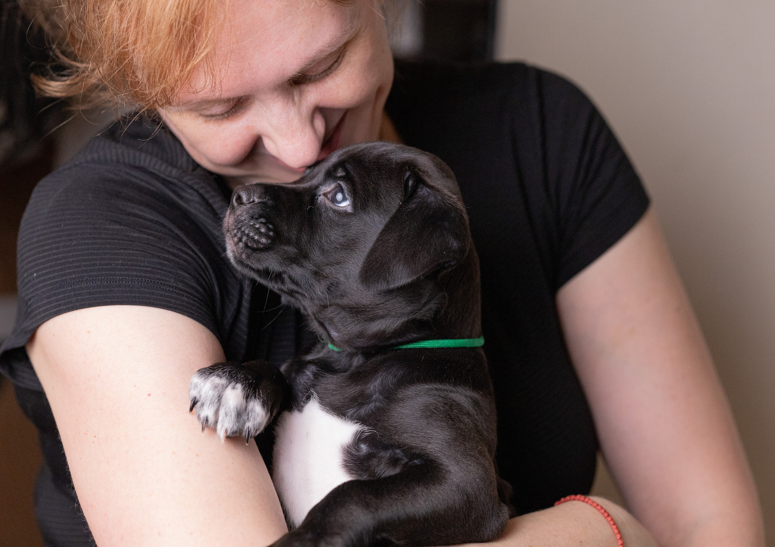 Щенки. Фотограф Яна Матвеева в Ижевске