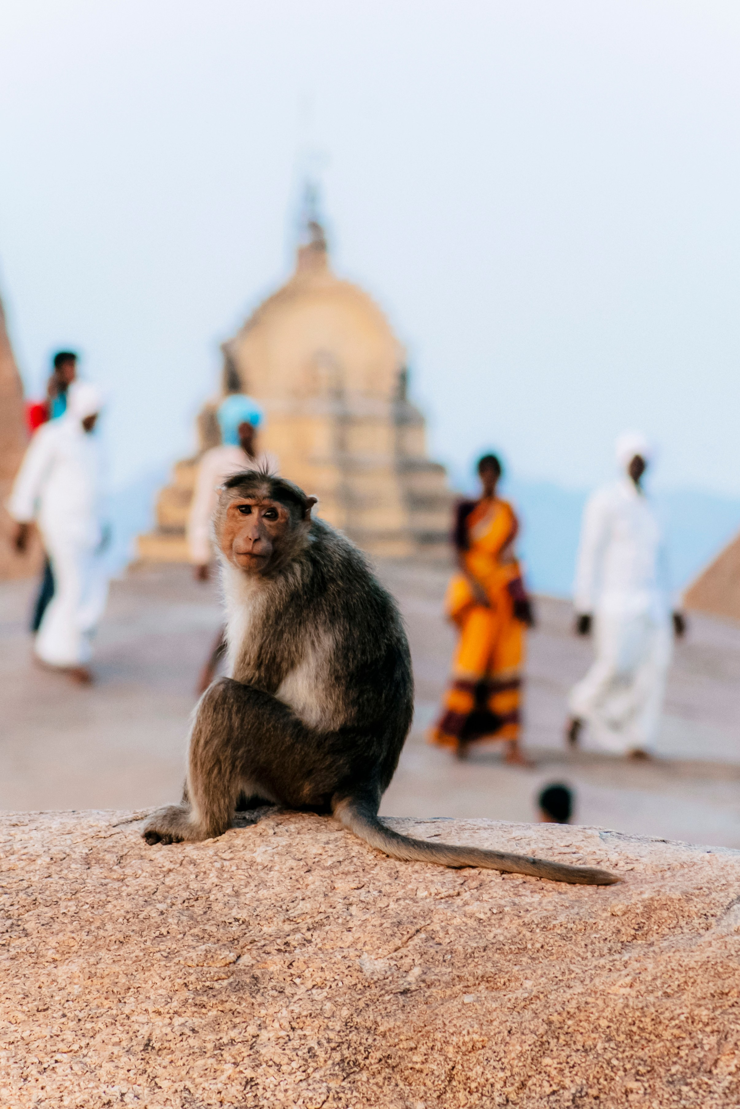 Хампи стрит фото. Iraogo