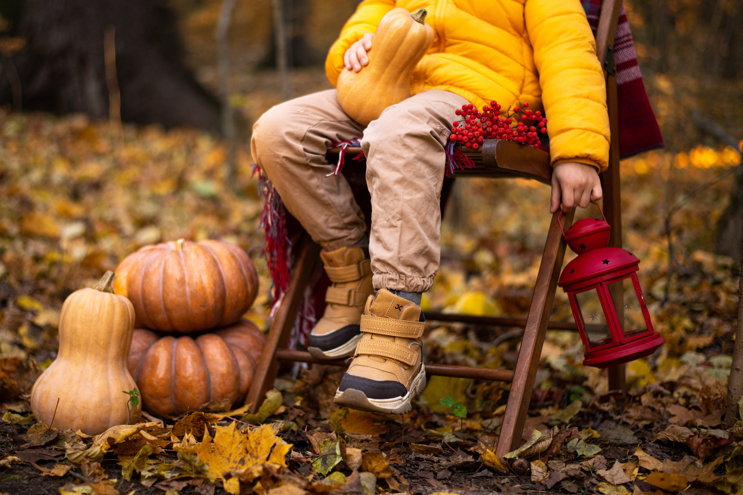 Осень в Шуваловском парке. Фотограф Санкт-Петербург | Дарья Першина