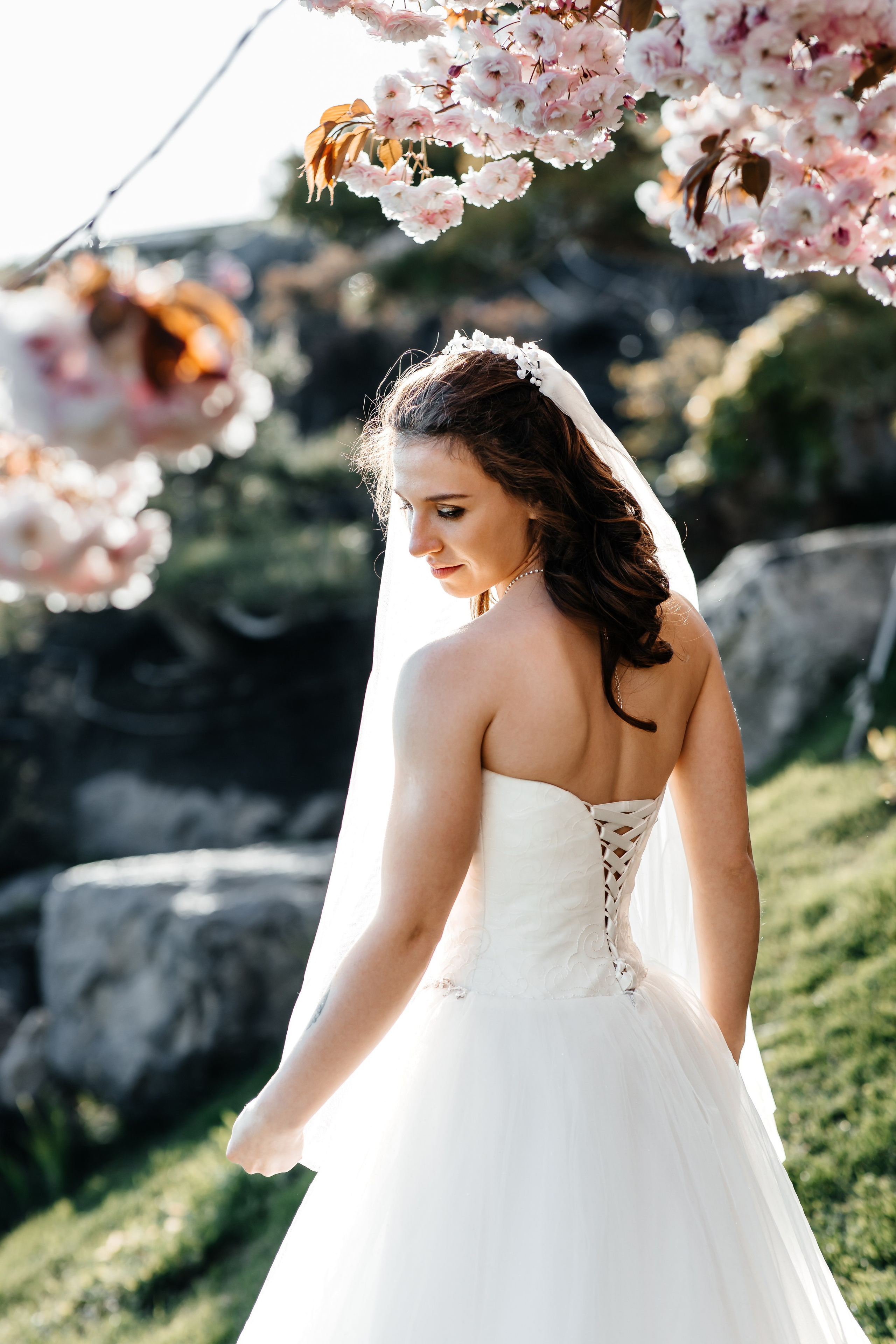 Сакура в Японском саду. Анонс свадьбы для Никиты и Марины. Свадебный фотограф в Крыму и Севастополе Ольга Баскакова