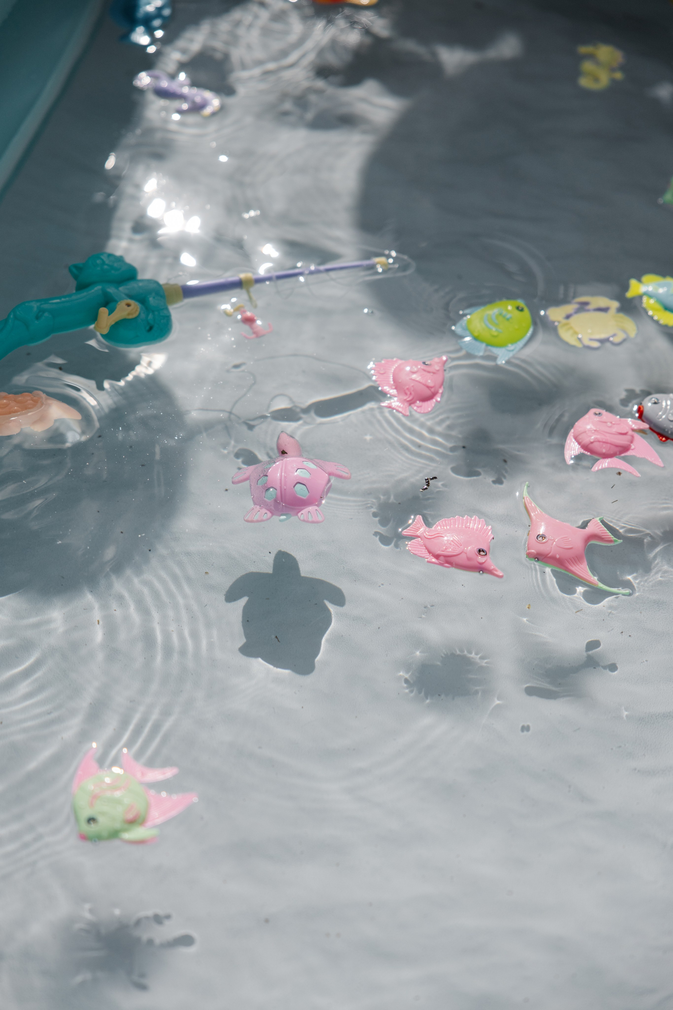 ГЕНДЕР ПАТИ. Фотограф в Красноярске