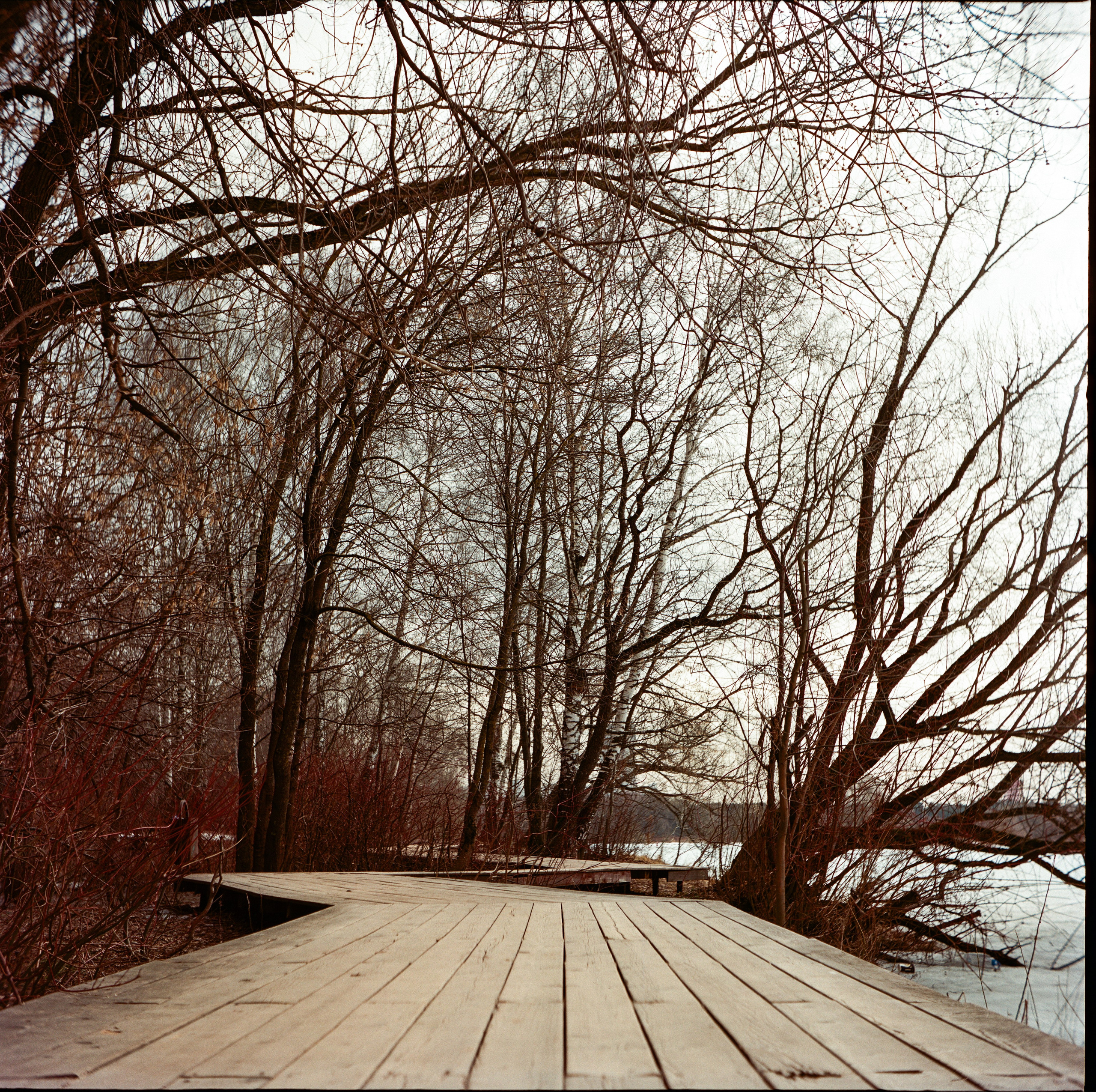 Walzflex с объективом Nitto Kogaku Kominar 75 mm f/3.5 / Aerocolor IV