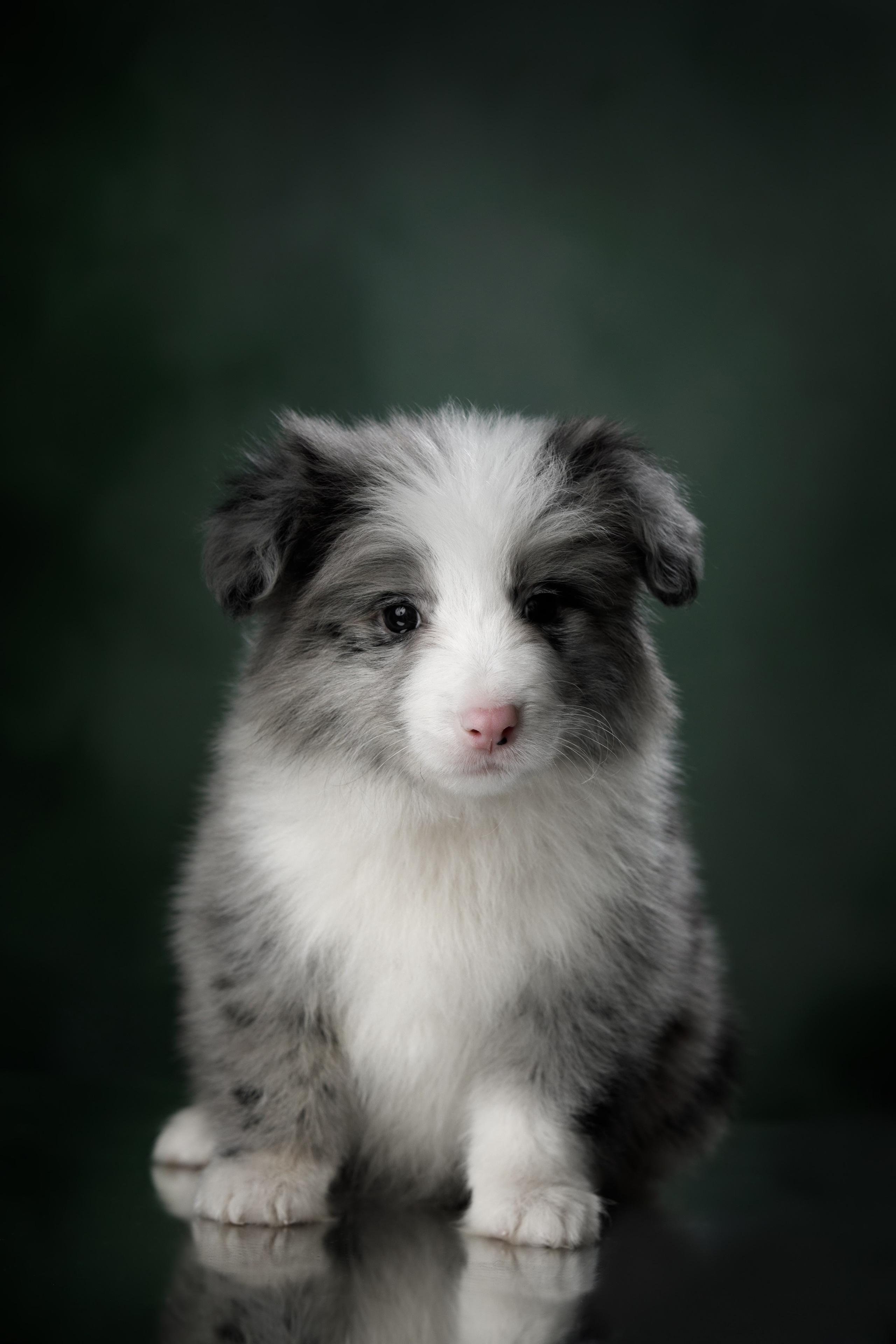 Март. Весна. 22. О нас