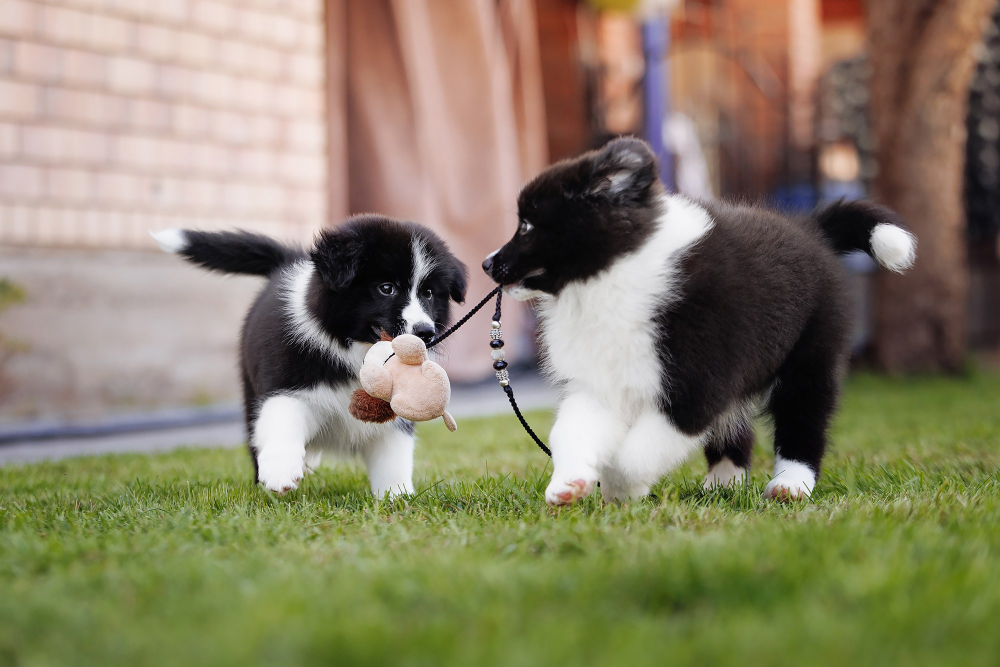 Трава у дома. О нас