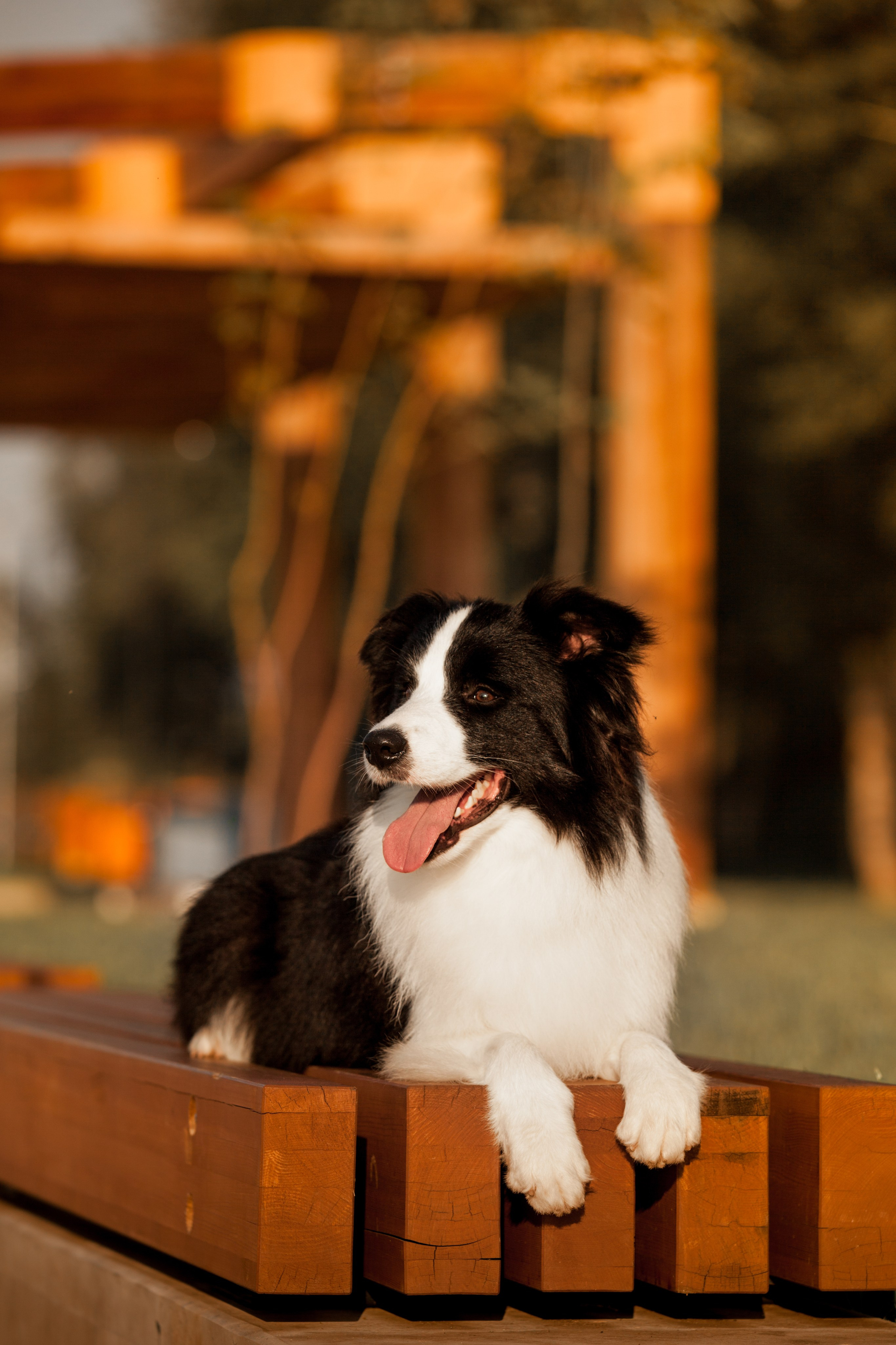 Сочный рассвет, на который решились. О нас