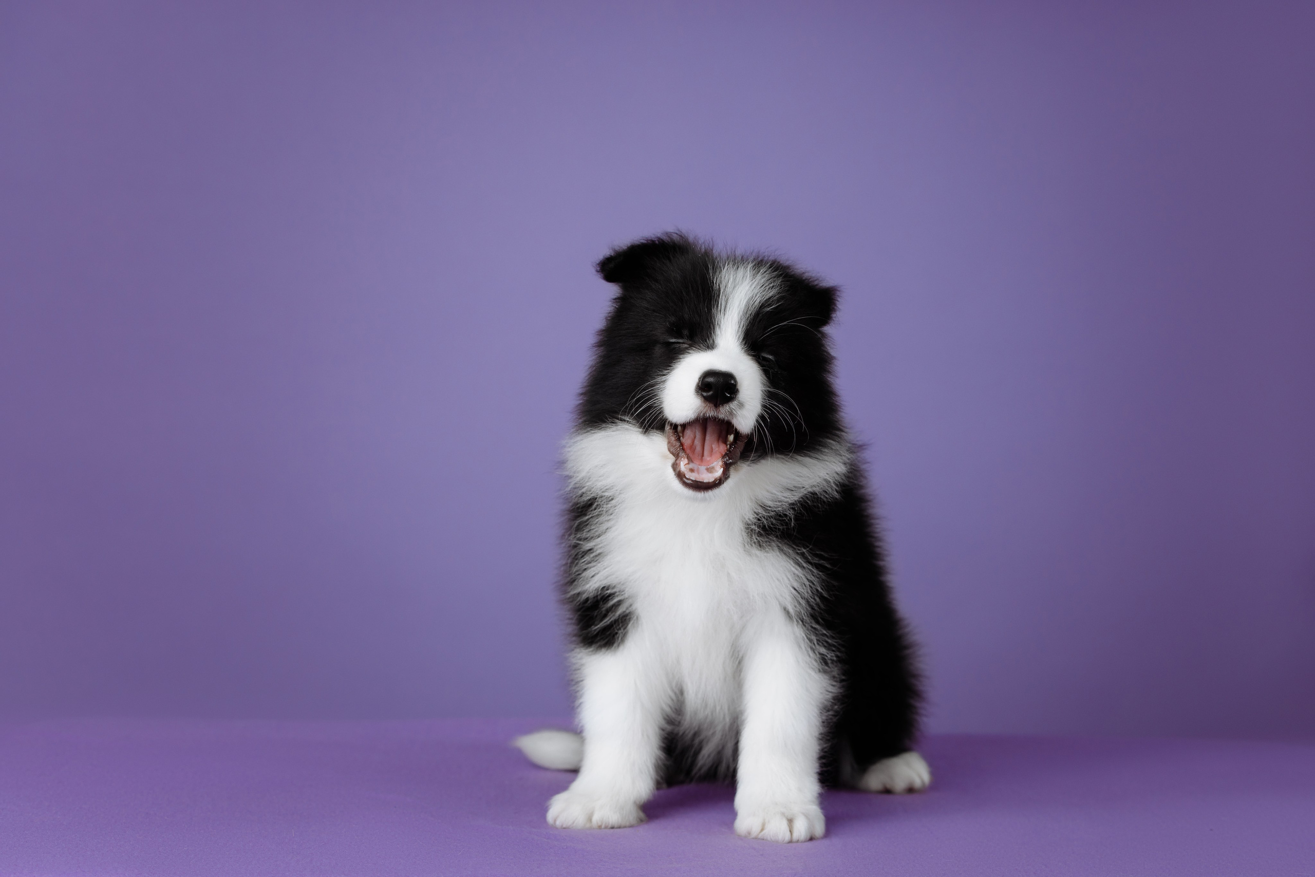 Март. Весна. 22. О нас