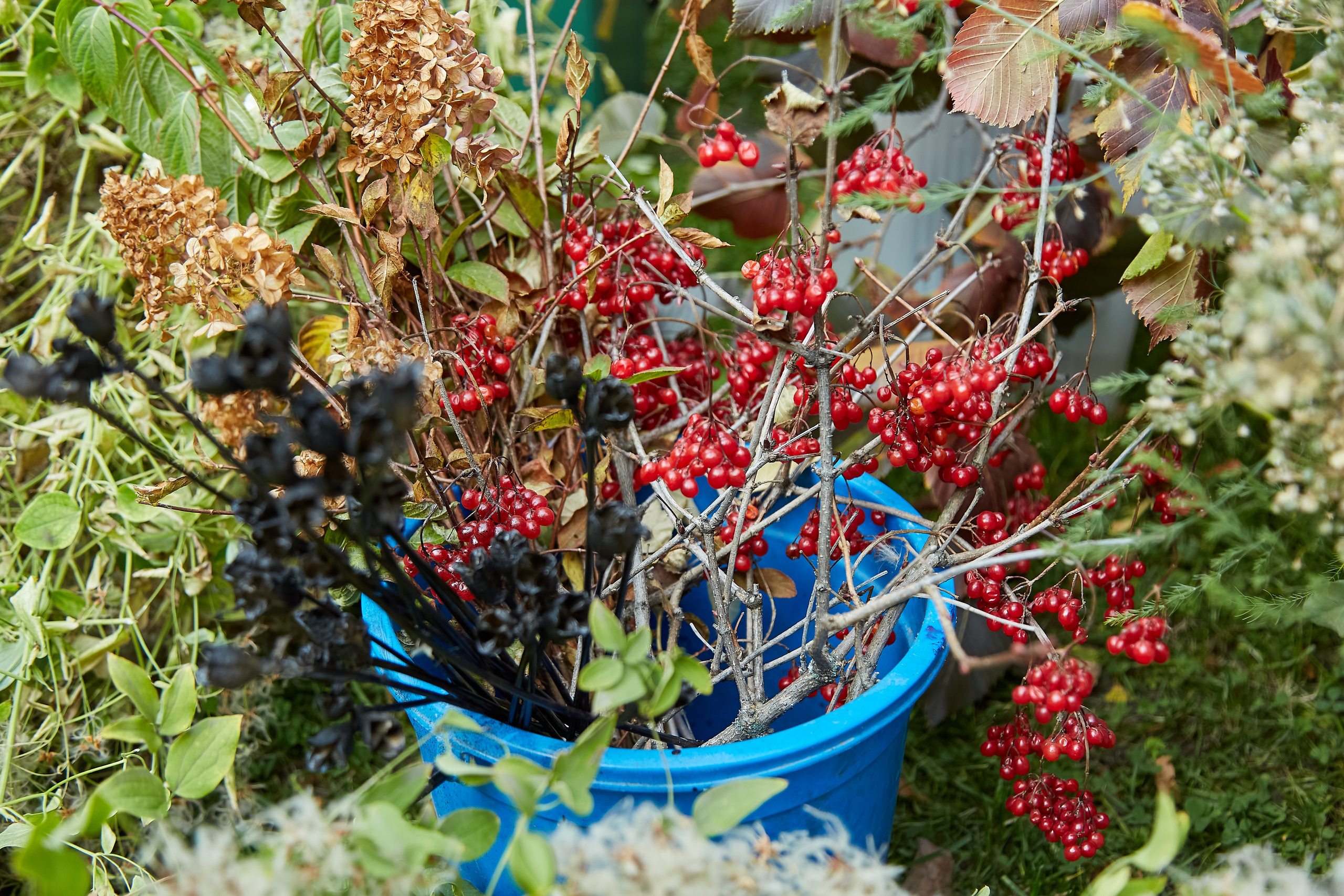 Ирина и мастер класс по декорации. Фотограф Барнаул Фатыхов Тимур