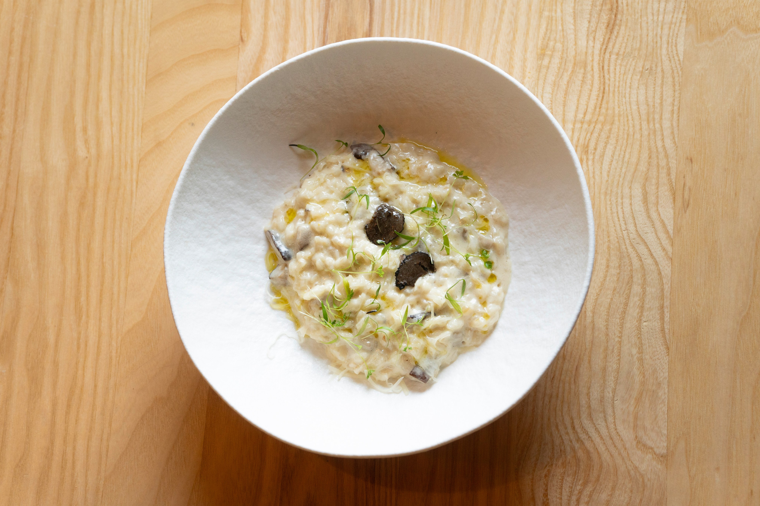 Рестораны. Maxon Magnusson