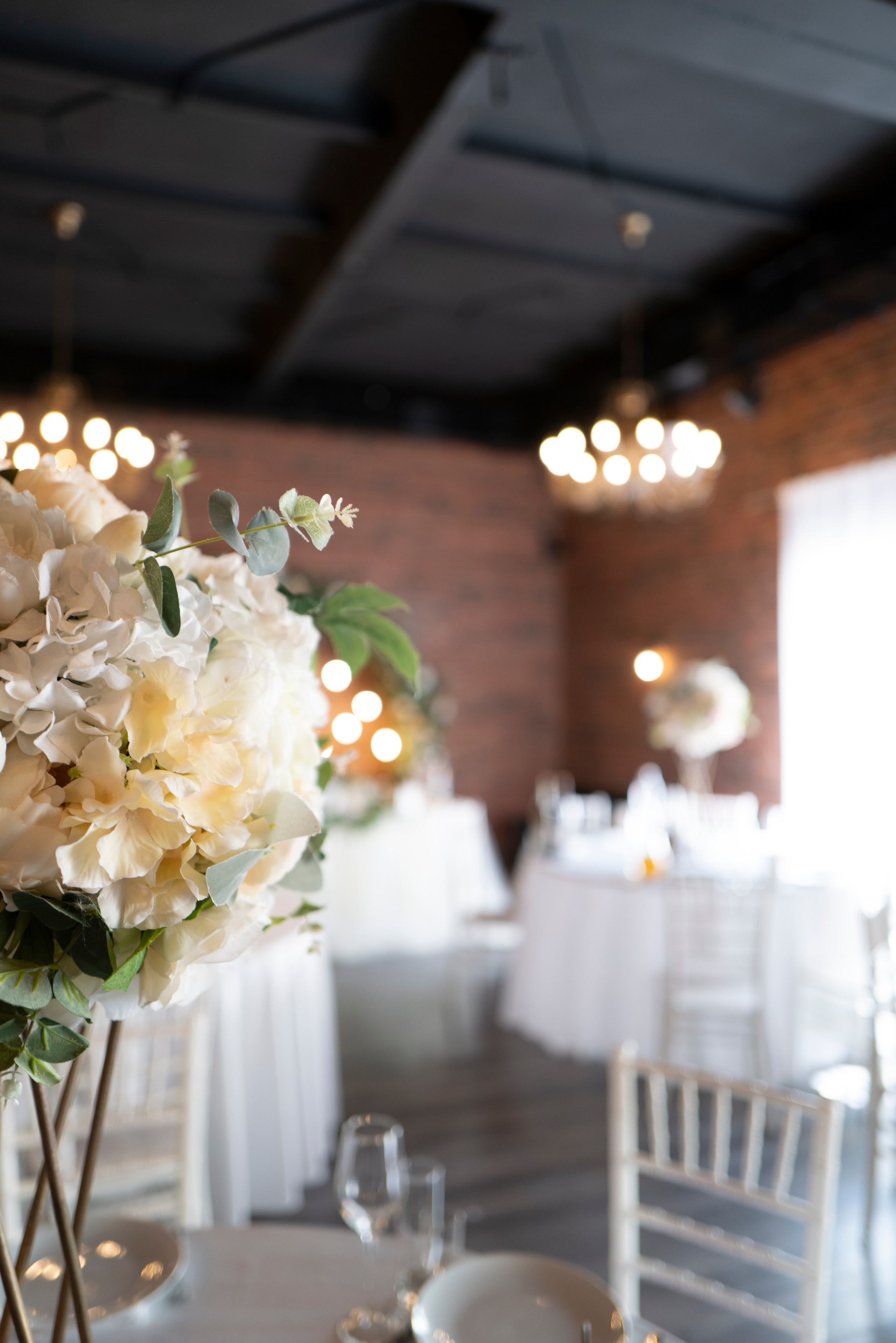 Рестораны. Maxon Magnusson