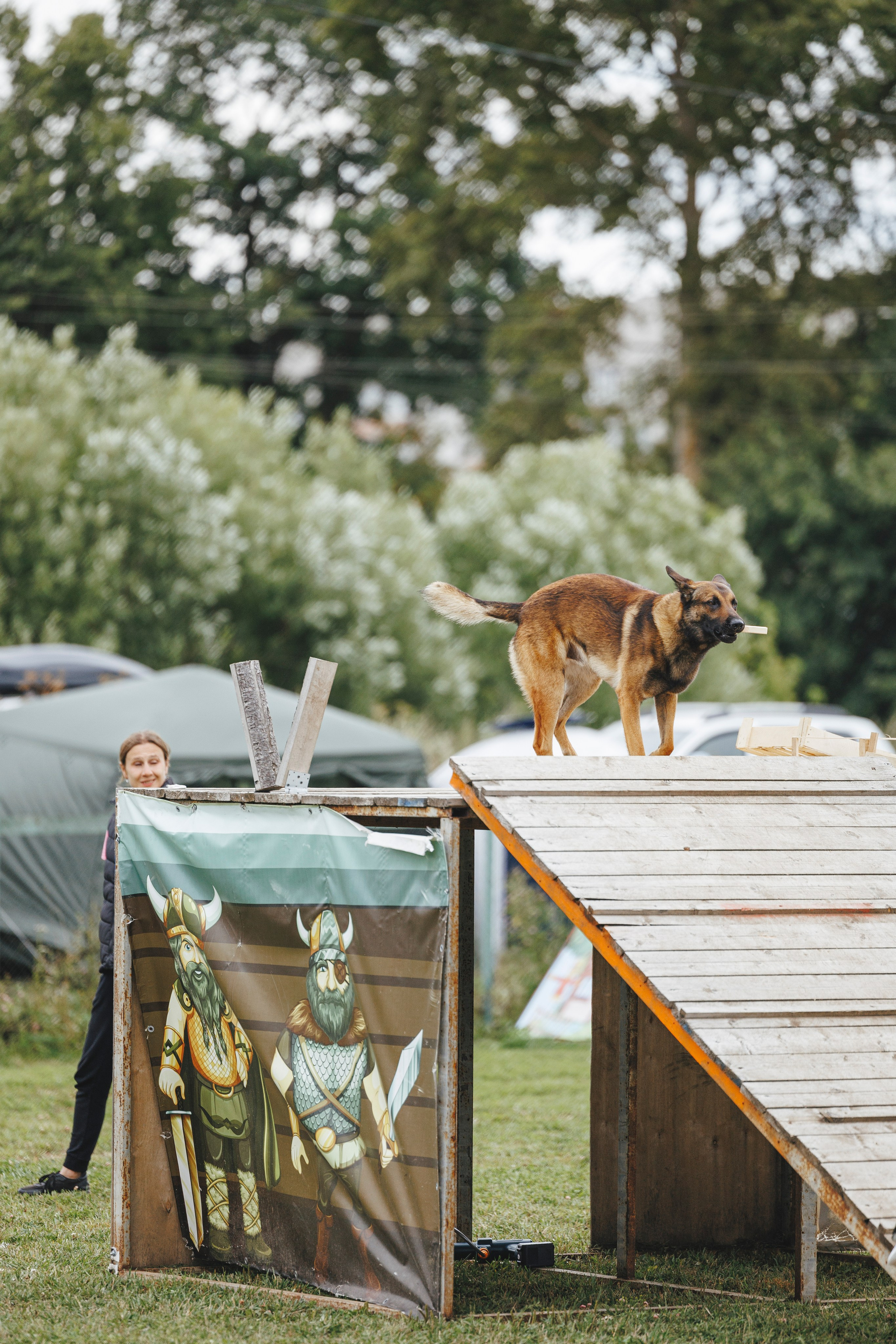 08.08.25-10.08.25 ЧР по мондьорингу г. Вологда. Фотограф-анималист Анна Маринич