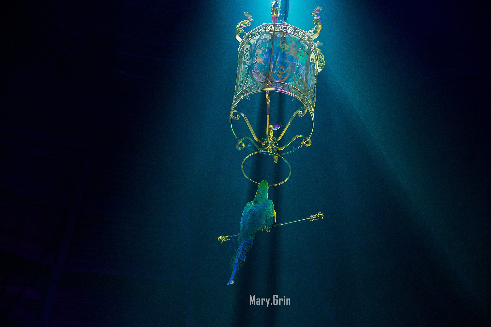 Цирк Гии Эрадзе. Детский и семейный фотограф, фотограф мероприятий Нижний Новгород