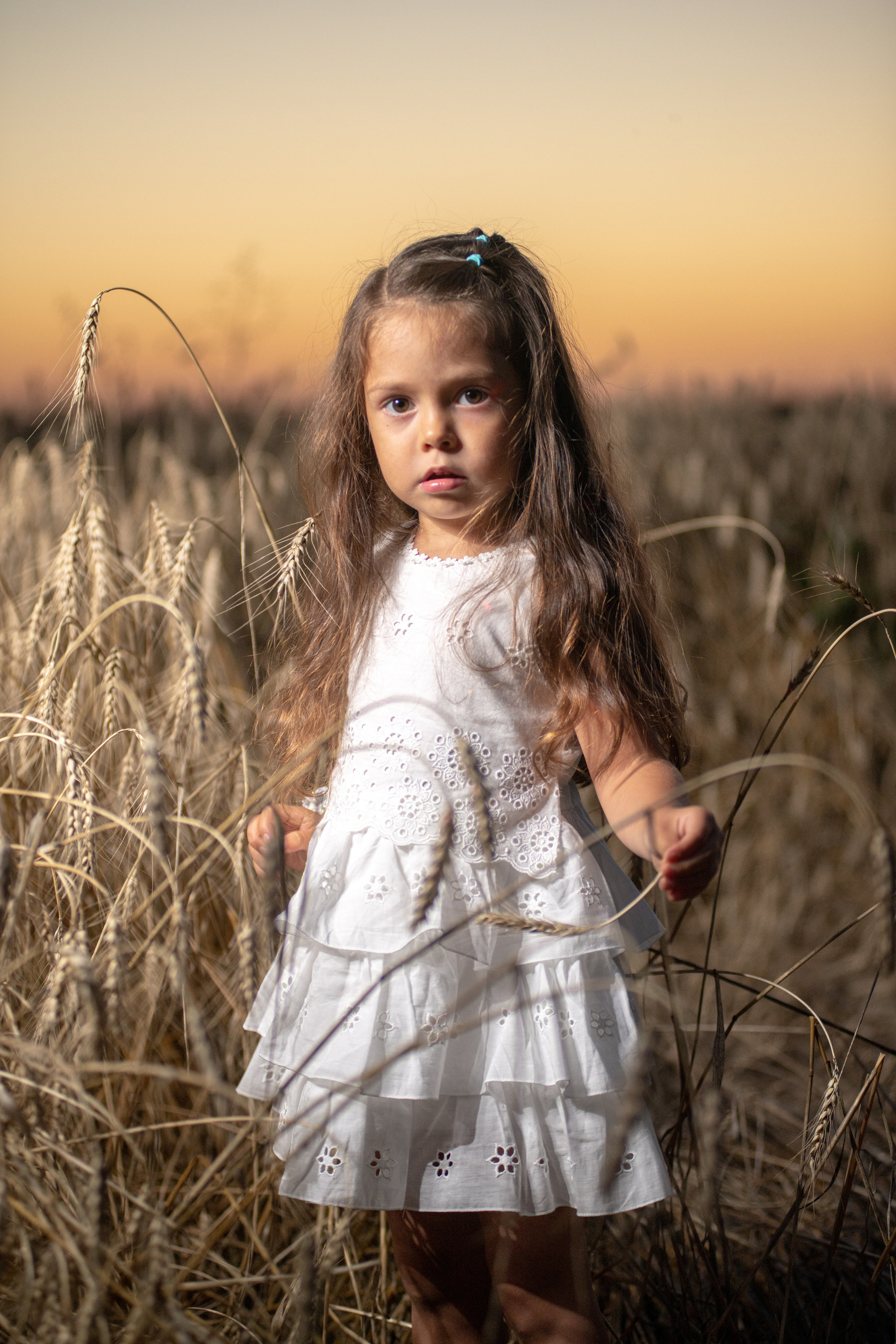 Семья Семченко (15.08.2021). Фотограф Андрей Чеботок (Белгород, Курск, Воронеж, Старый Оскол)