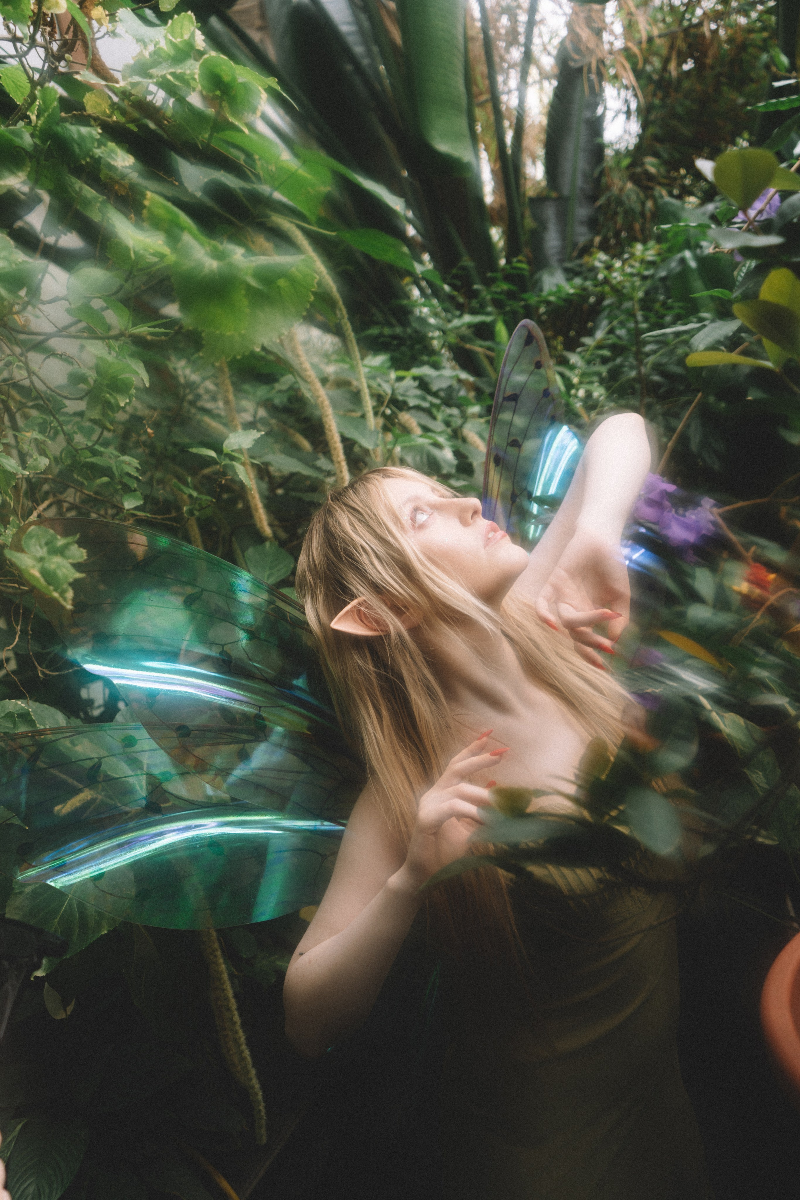 Тайный лес. Анастасия Попова — Fashion photographer