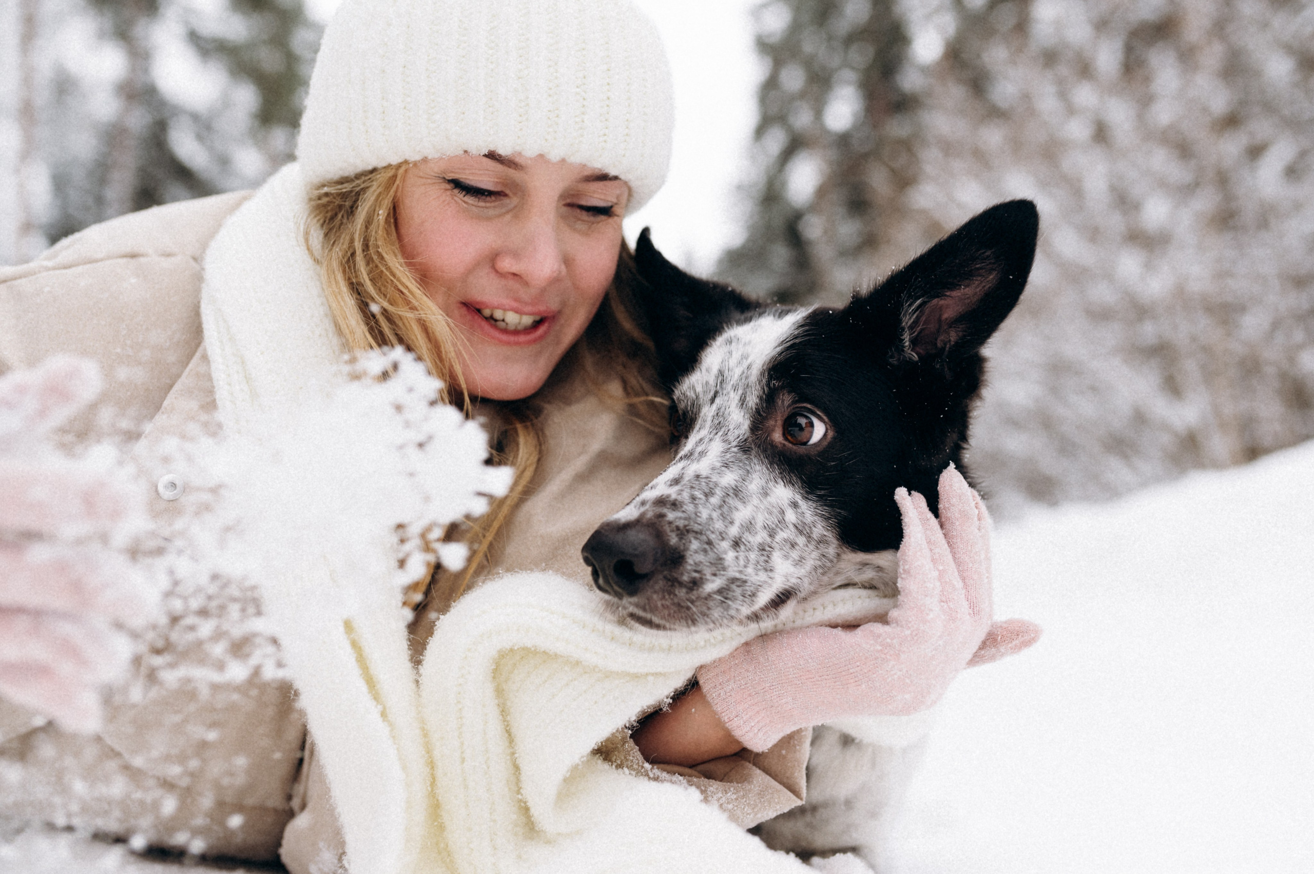 Аня и Милан. Фотограф анималист в Москве Ольга Агушева