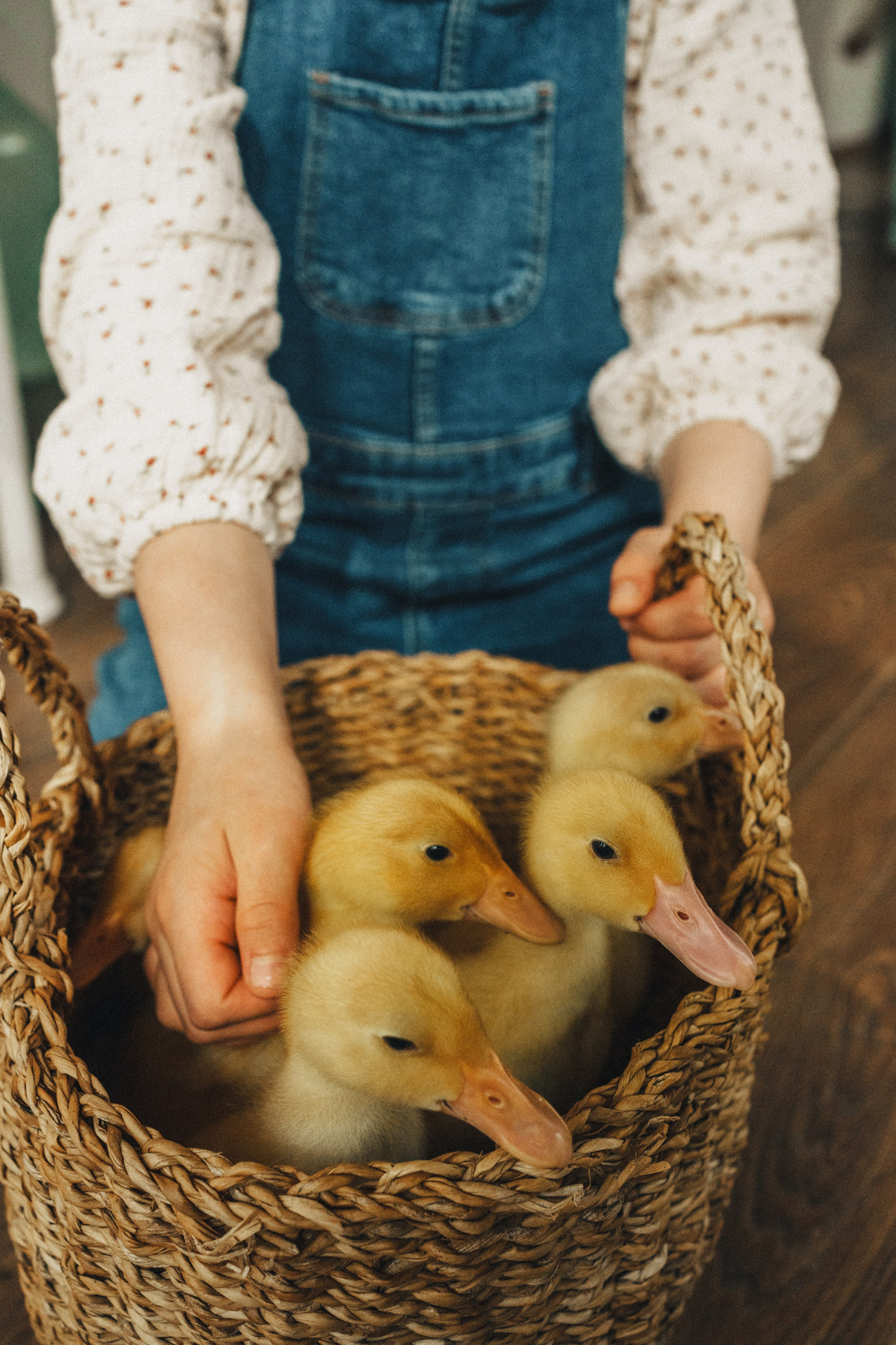 Детки & утятки на Green dacha. Семейный и детский фотограф и видеограф в Москве, Серпухове и Тарусе Валерия Сорокина