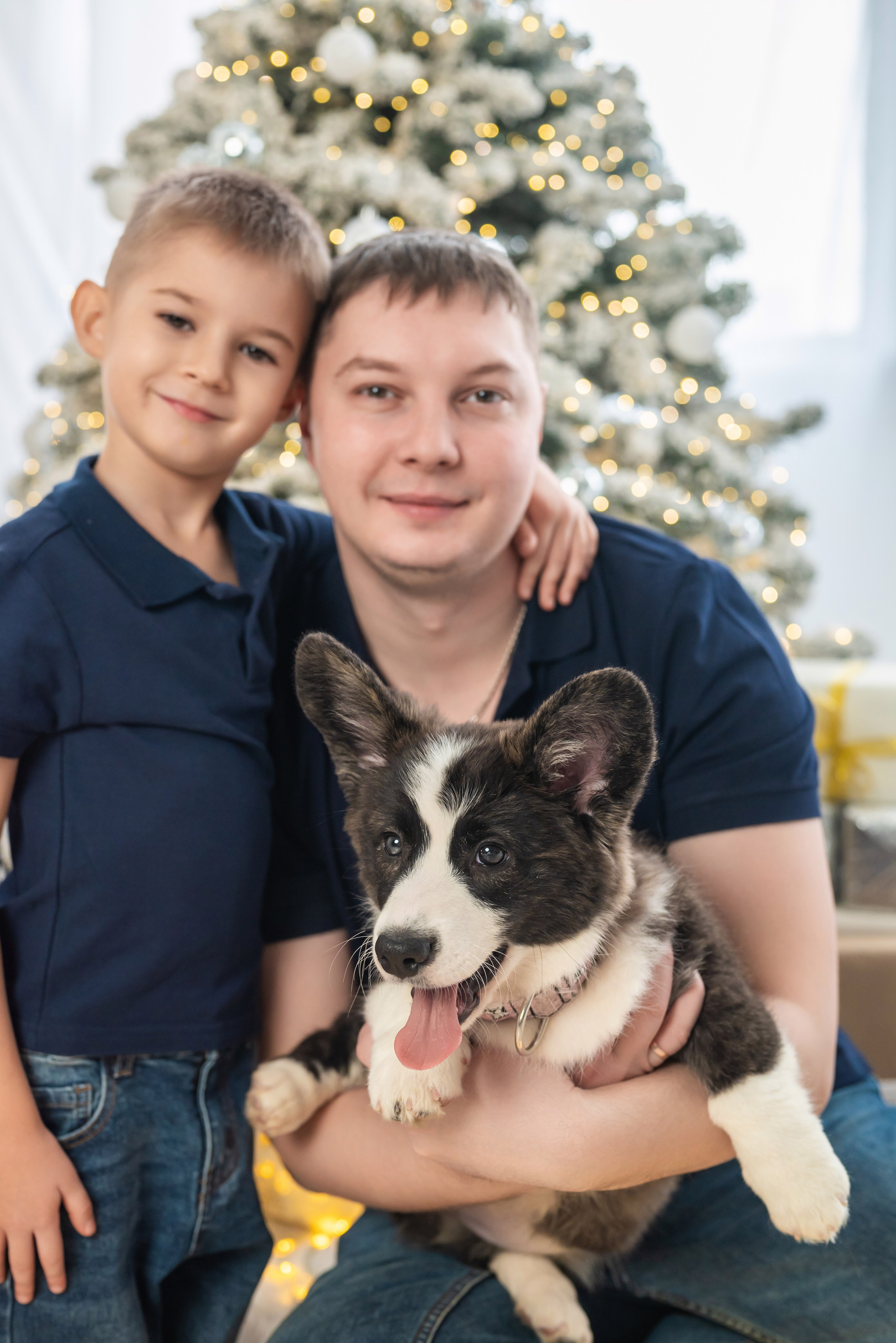 Фотопроект с корги. Фотограф в городе Салават