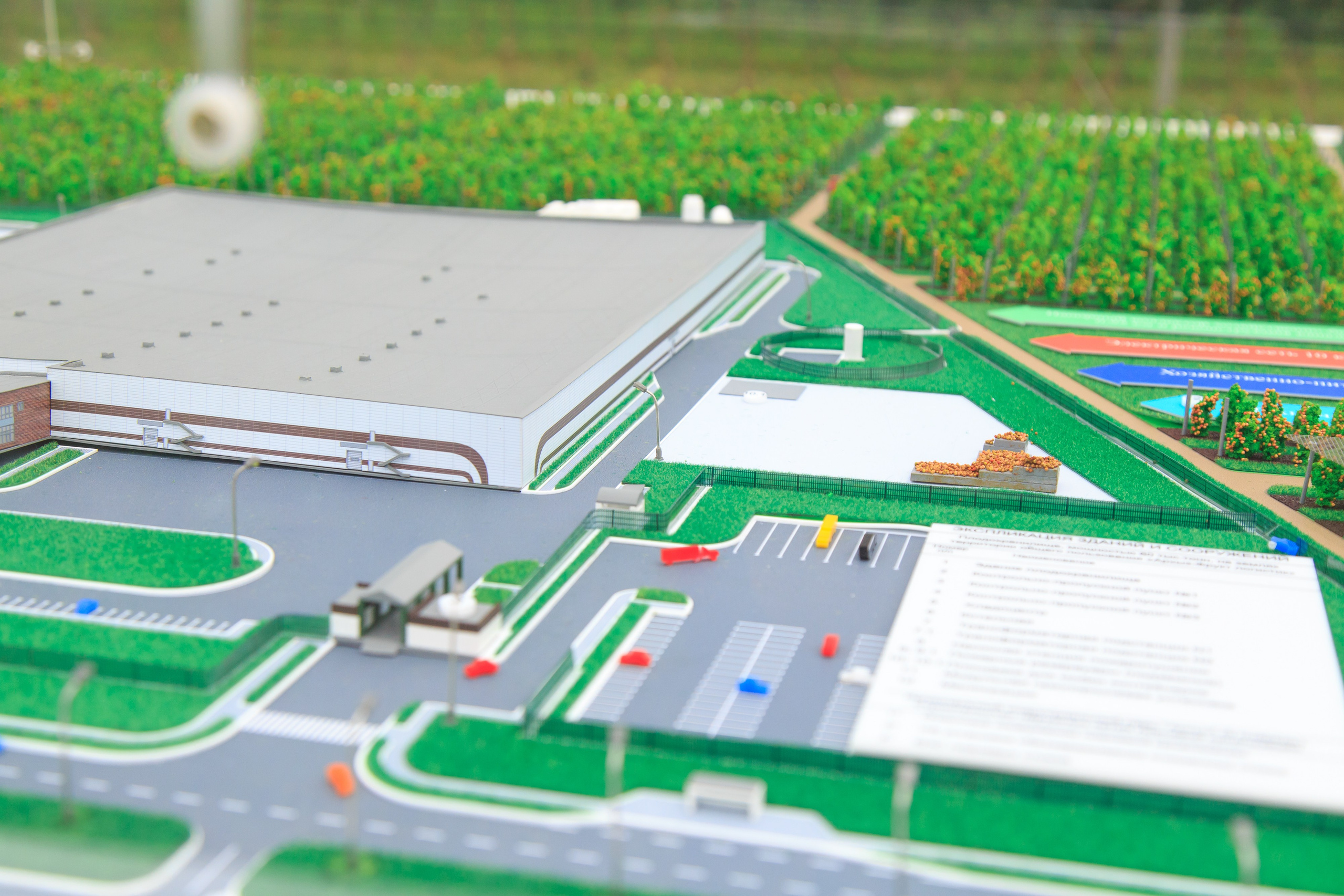 Репортажный фотограф. Репортажная фотосъёмка Минеральные Воды, Пятигорск, Кисловодск, Ставрополь. Репортажный и свадебный фотограф Пятигорск и КМВ