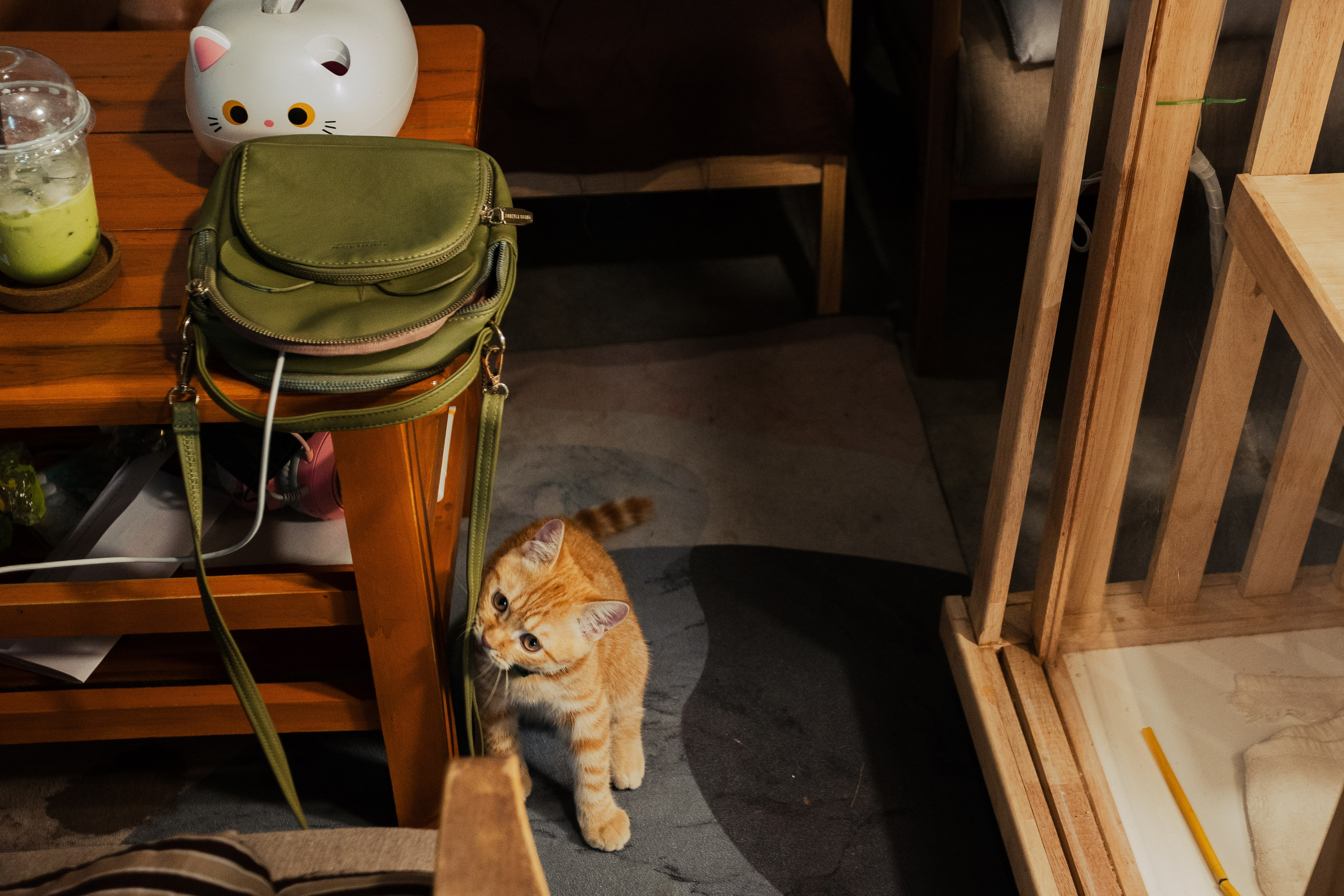 Cazz Cafe. Фотограф Сонкина Татьяна