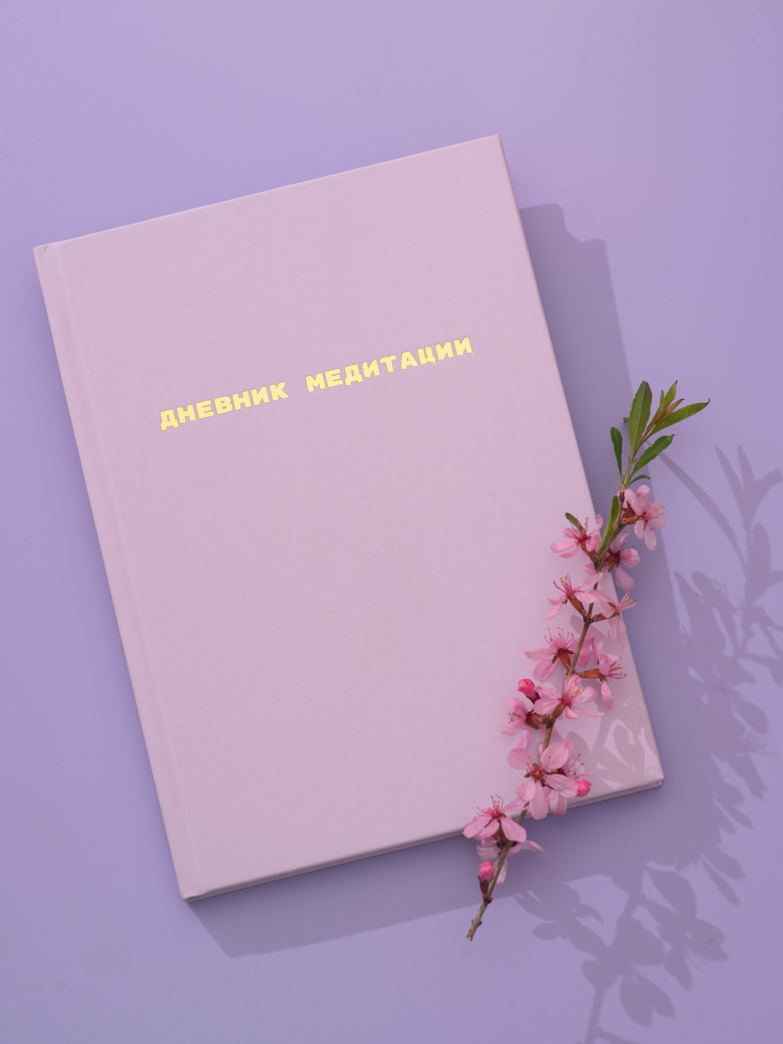 Съемка канцелярии. Александра Чекалина Предметный фотограф Барнаул