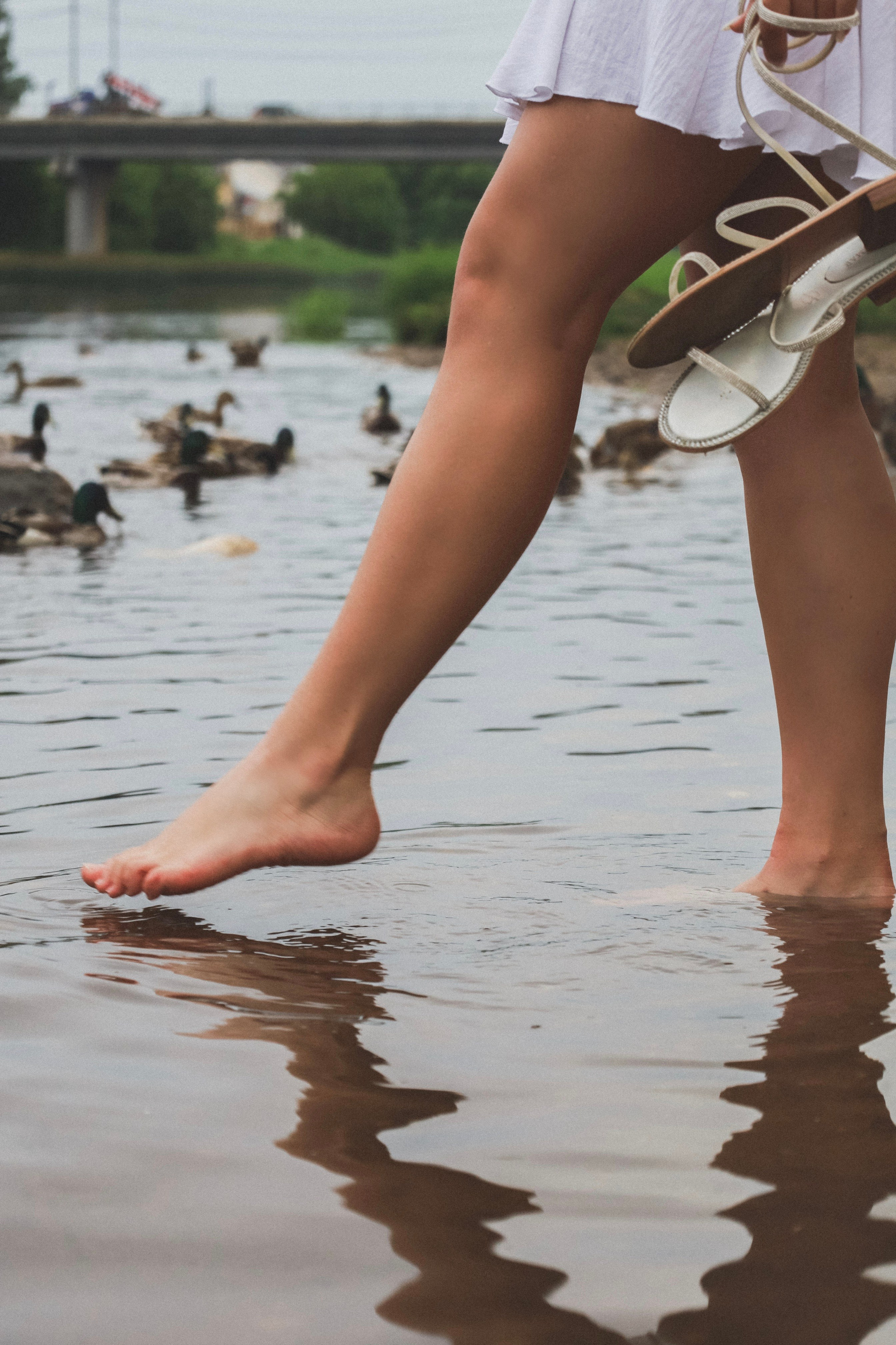 Елизавета & Илья. Никонорова Анастасия