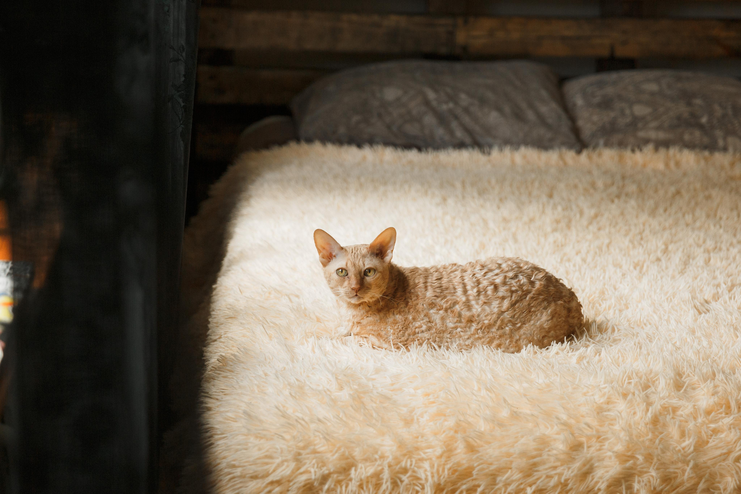 Иван Мария 20 августа 2019. Свадебный и портретный фотограф в Сыктывкаре Слава Изъюров