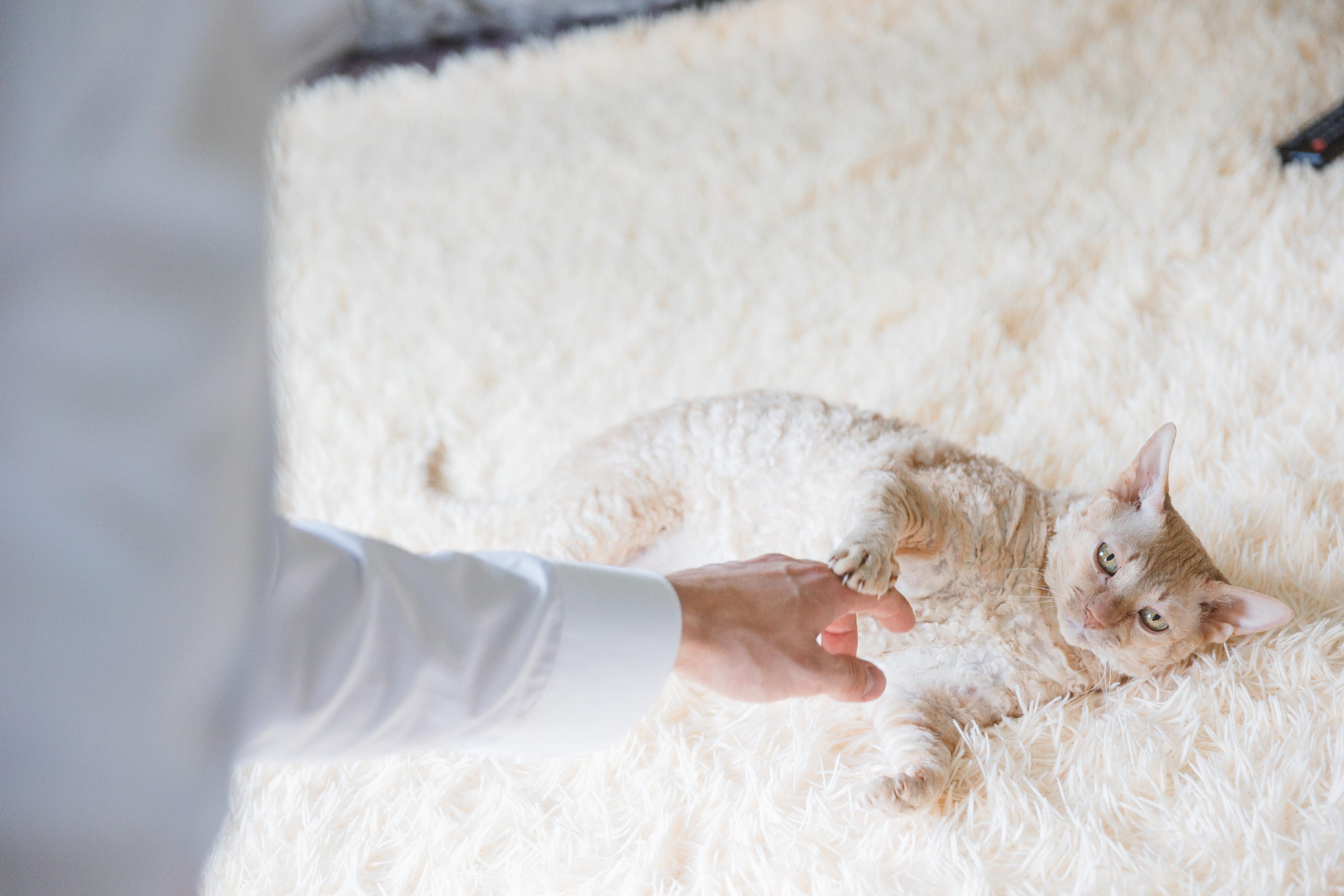 Иван Мария 20 августа 2019. Свадебный и портретный фотограф в Сыктывкаре Слава Изъюров