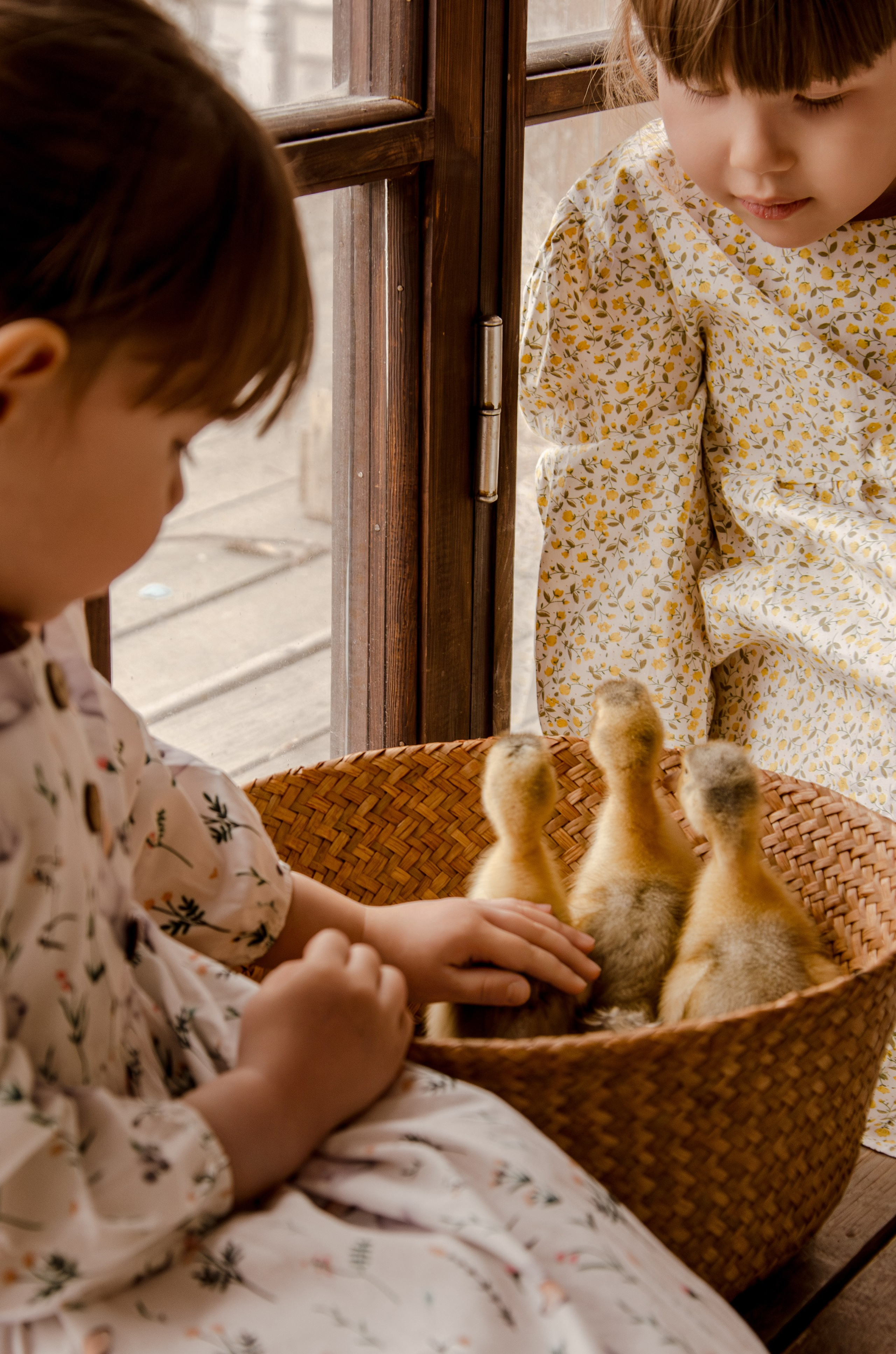 Маленькие кря-кря. Фотографы в Тюмени Андрей и Лидия Войвод