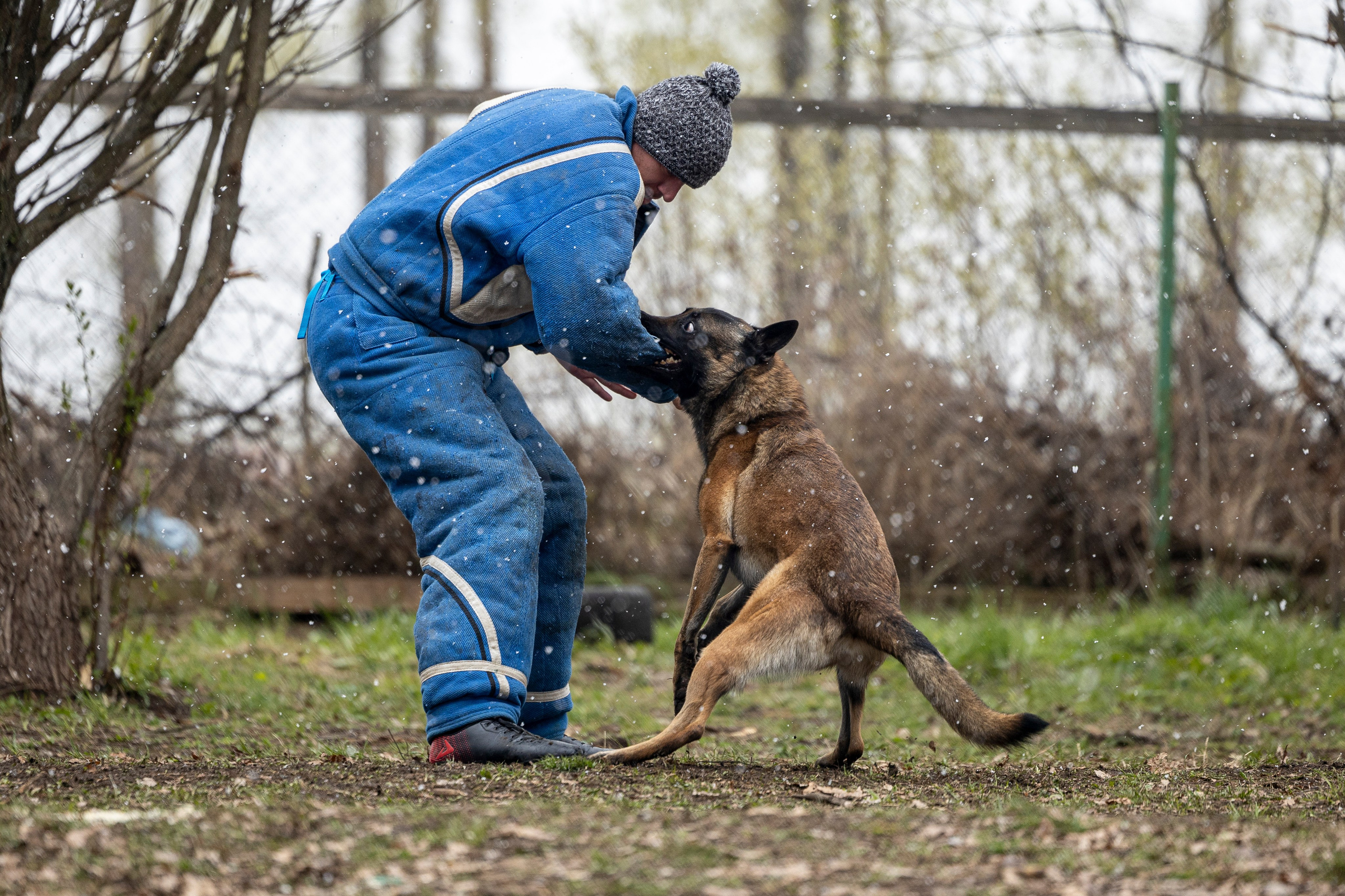 Квалификационные состязания по мондьорингу г. Вологда 11.05.24. Фотограф-анималист Анна Маринич