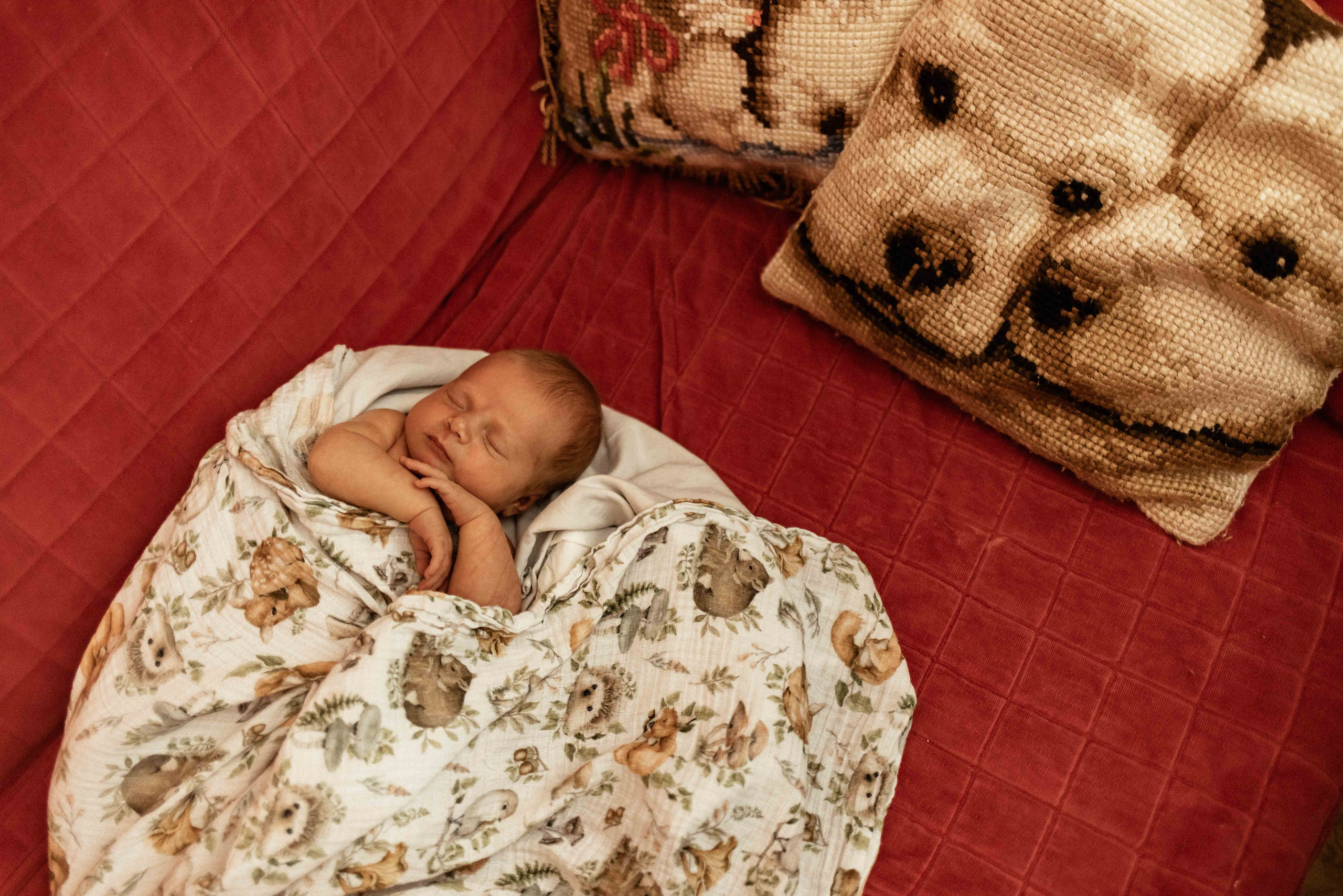 Анастасия, Сергей, Мира и Лиза. Семейный фотограф в Москве