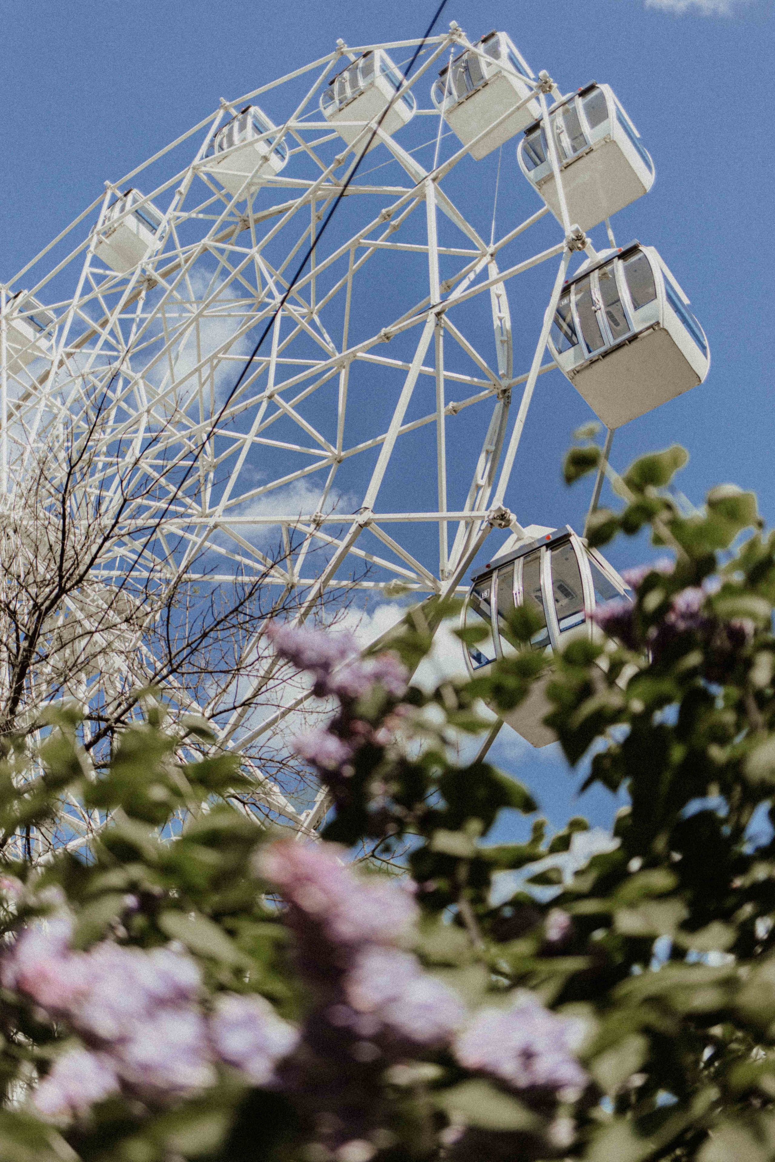 Настя и Паша. Семейный фотограф в Москве