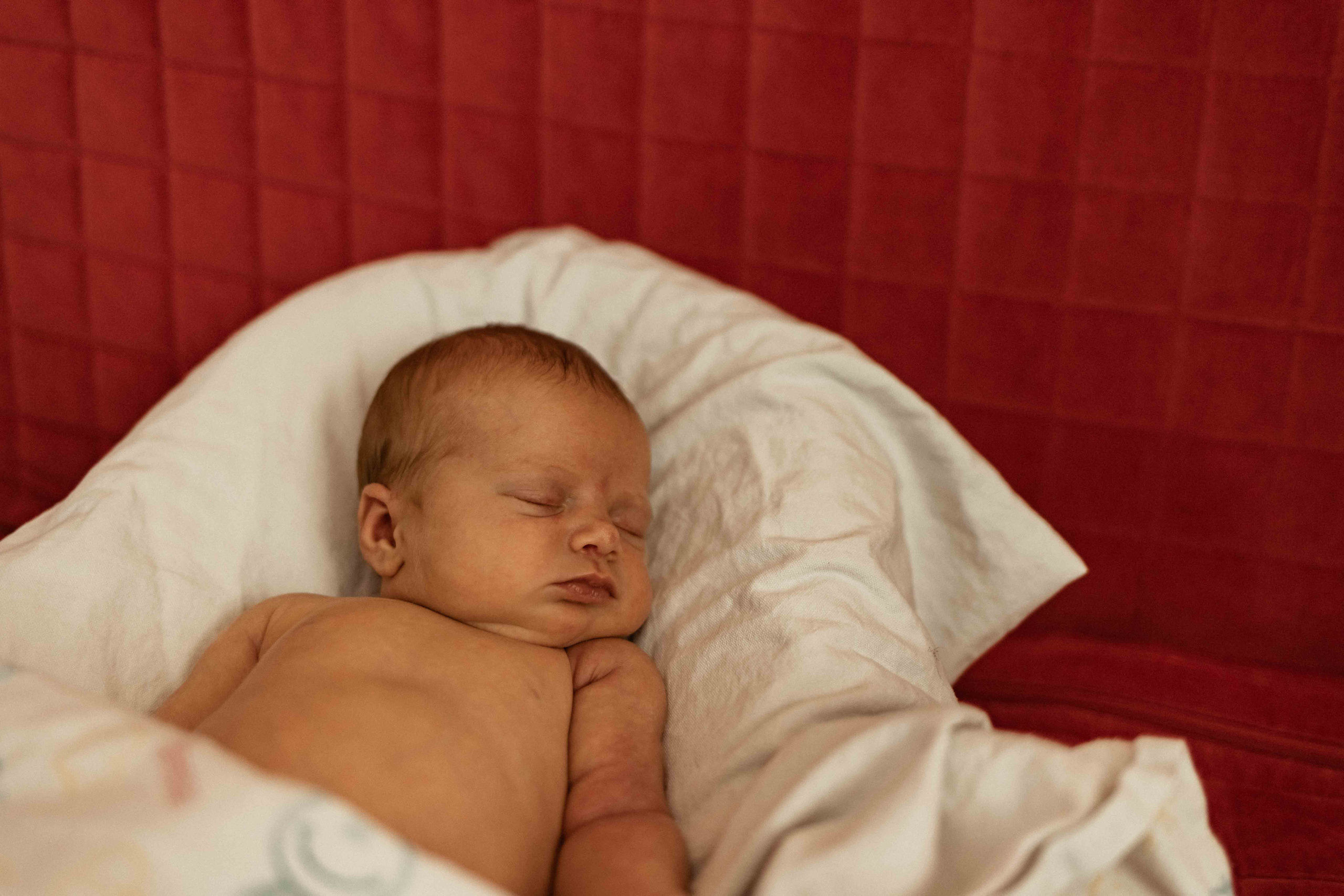 Анастасия, Сергей, Мира и Лиза. Семейный фотограф в Москве